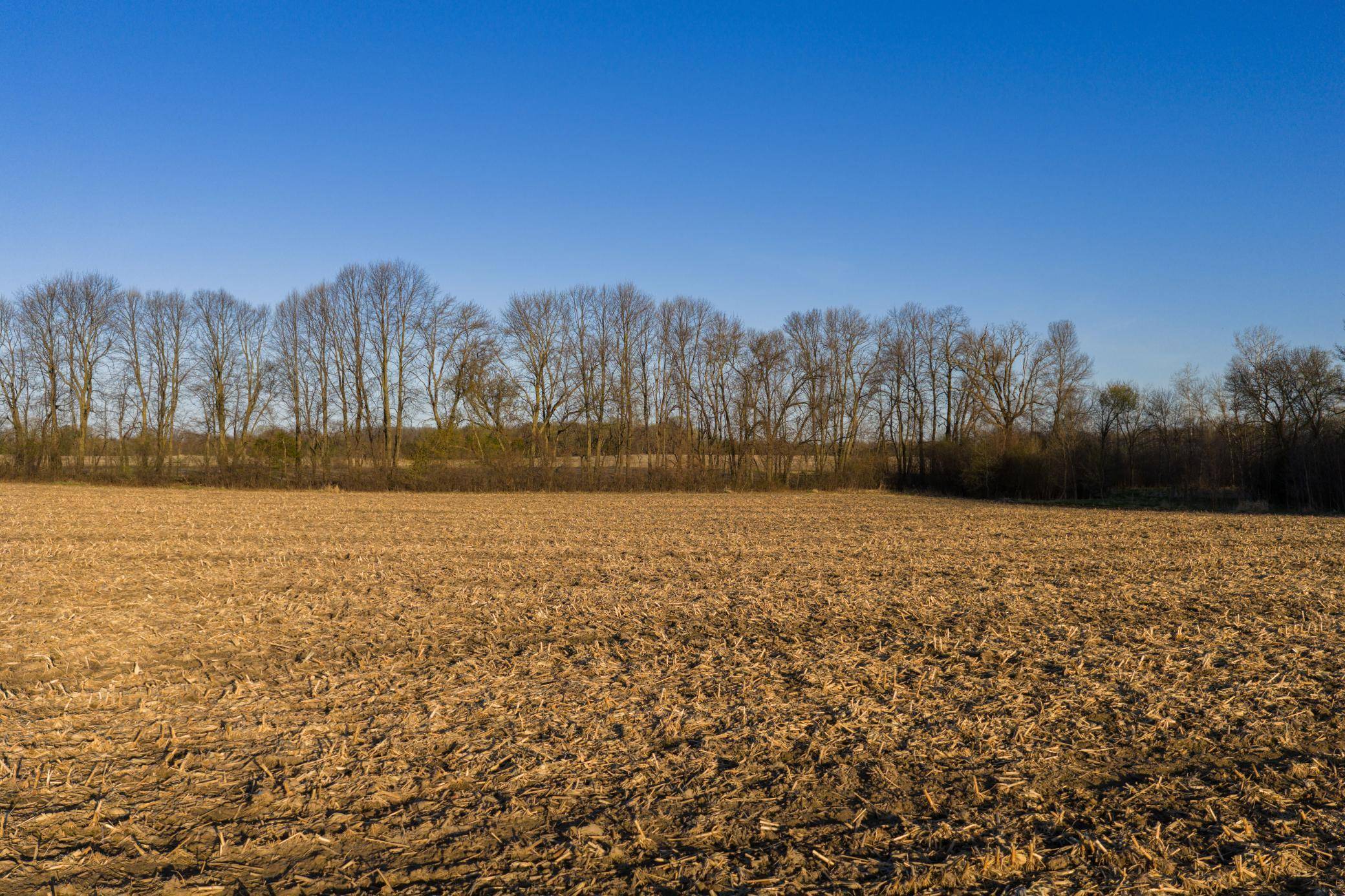 TBD Lot 1 Park TRL, Center City, MN 55012