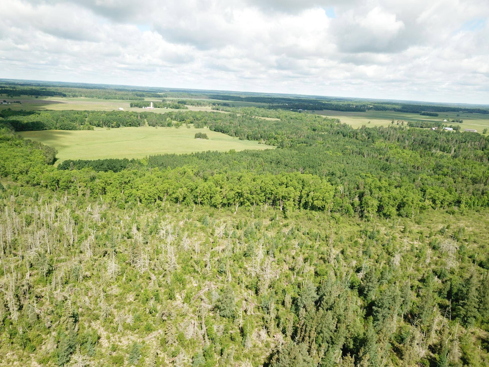 TBD1 Mud Lake RD, Bagley, MN 56621