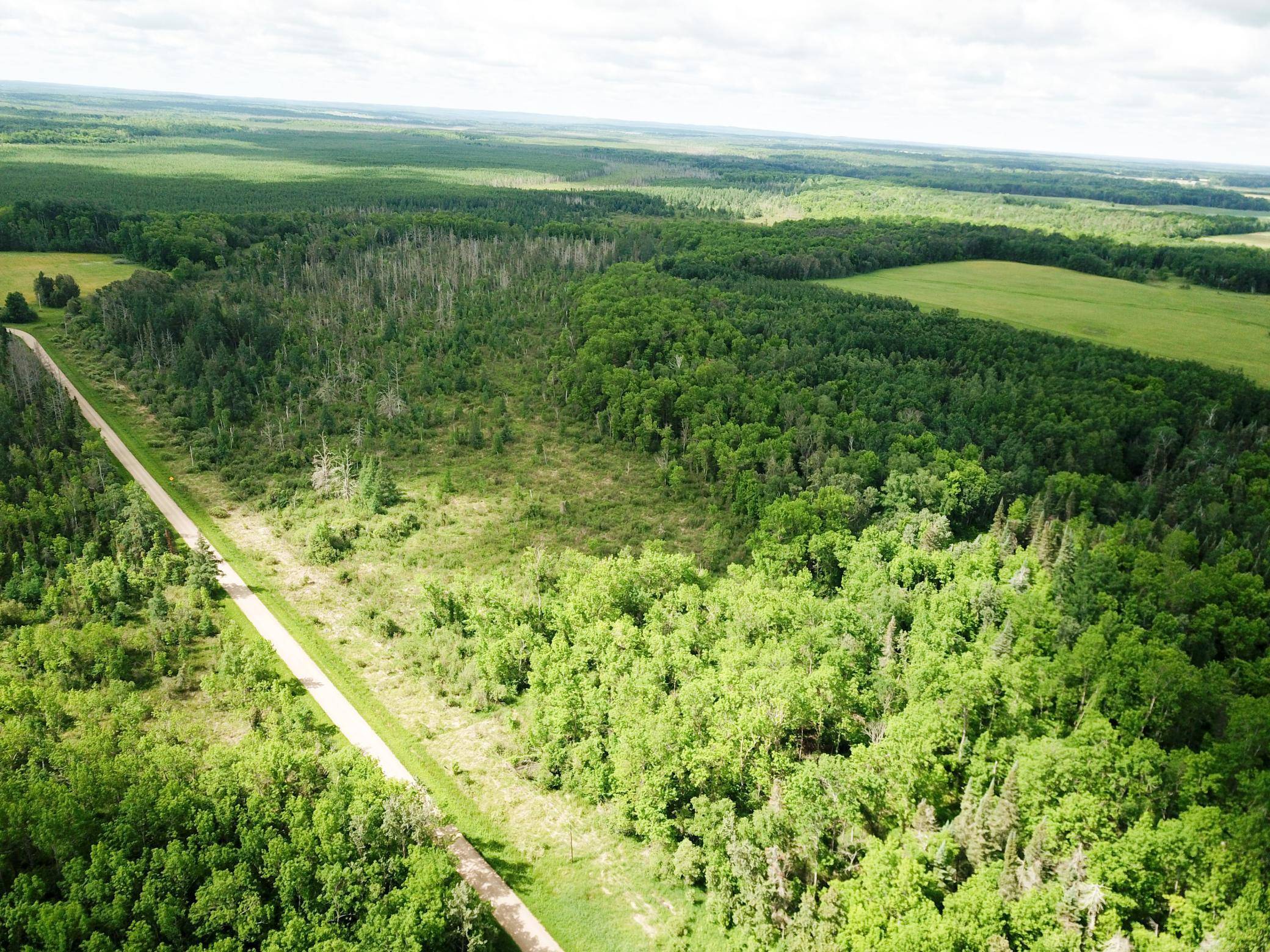 TBD1 Mud Lake RD, Bagley, MN 56621