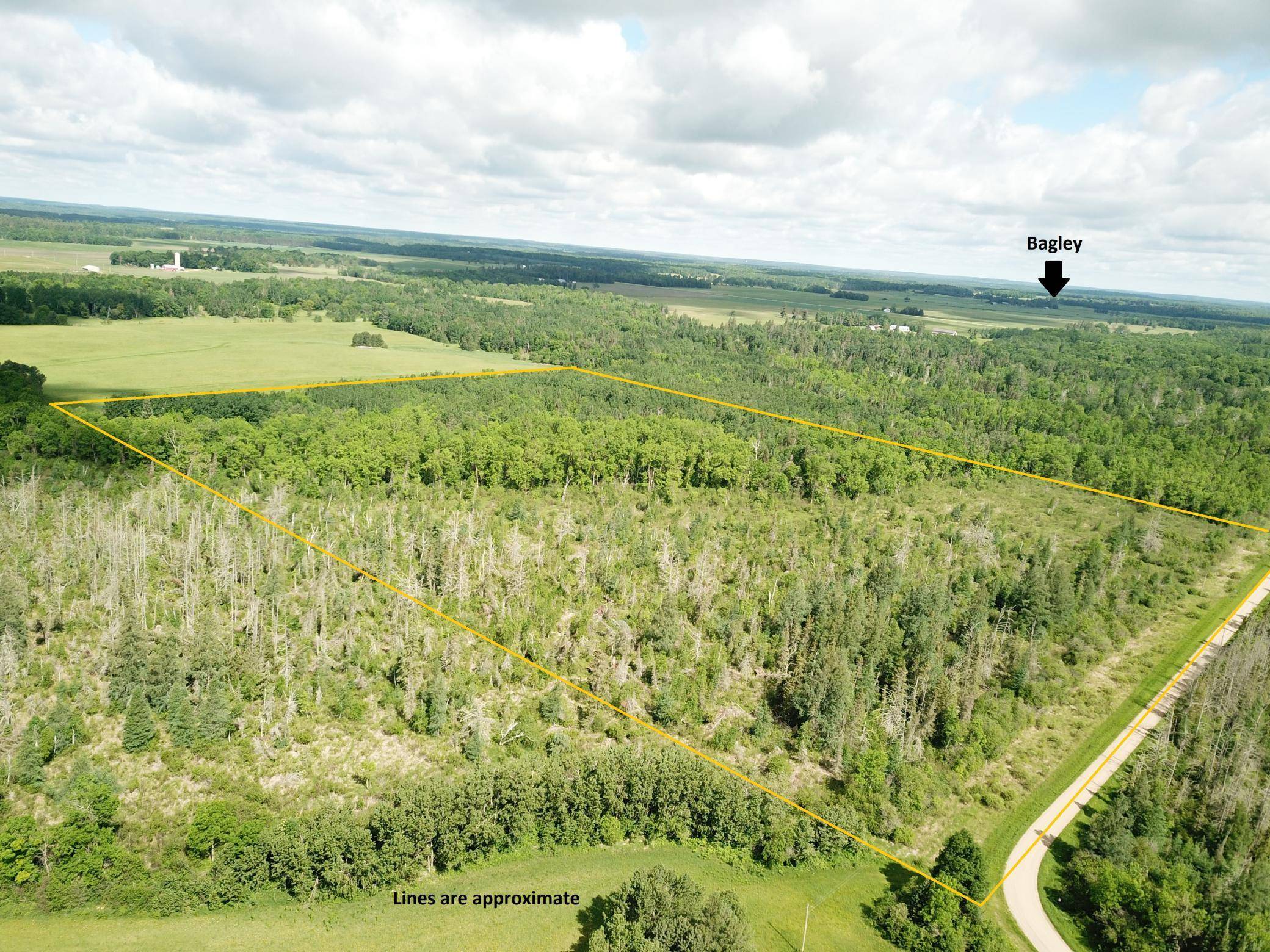 TBD1 Mud Lake RD, Bagley, MN 56621