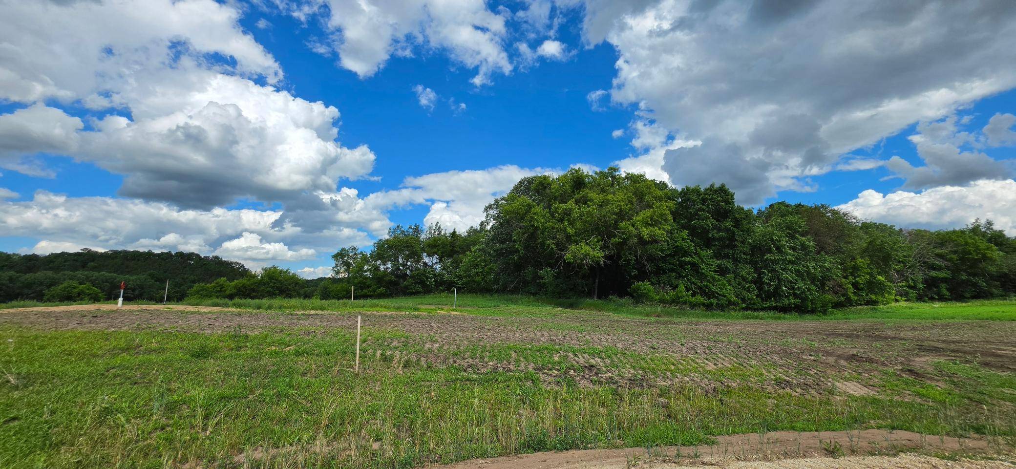 TBD (L3B1) 410 AVE, Mazeppa, MN 55956