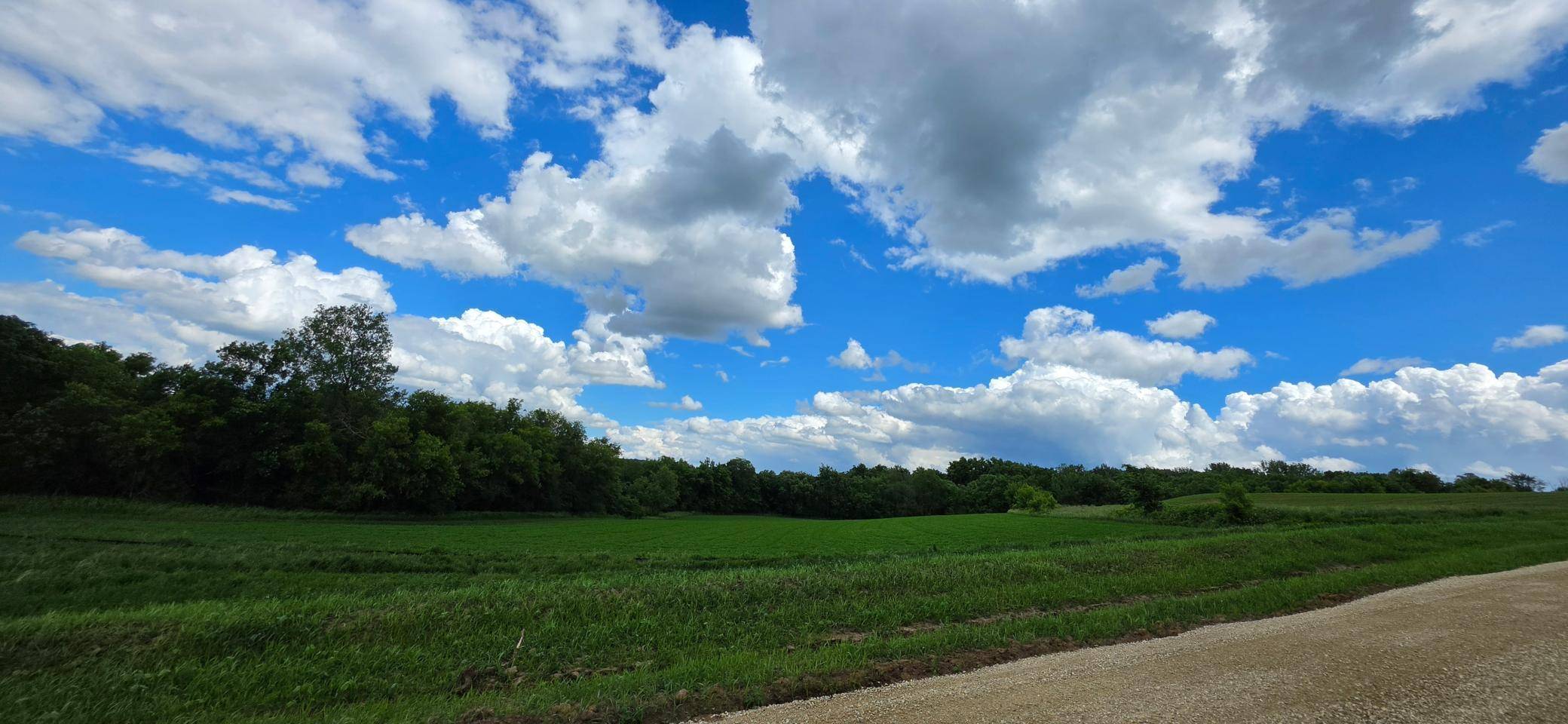 TBD (L5B1) 410 AVE, Mazeppa, MN 55956