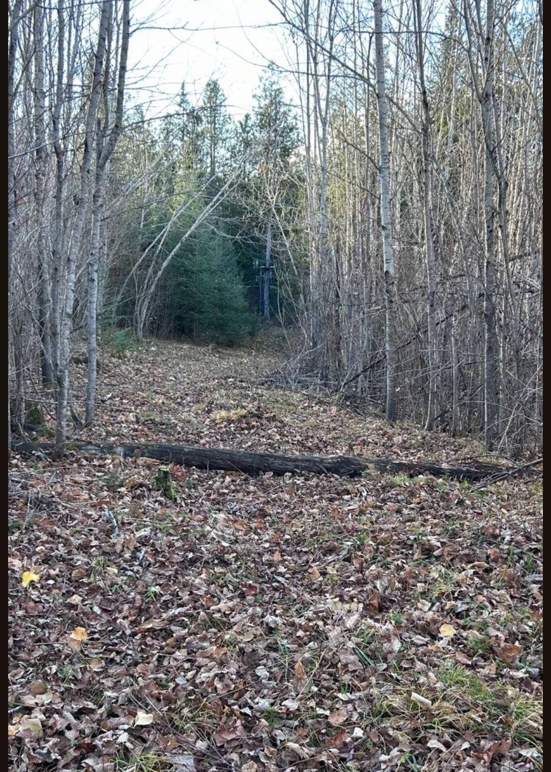 XXX MT Nelson Rd, Mahtowa, MN 55707