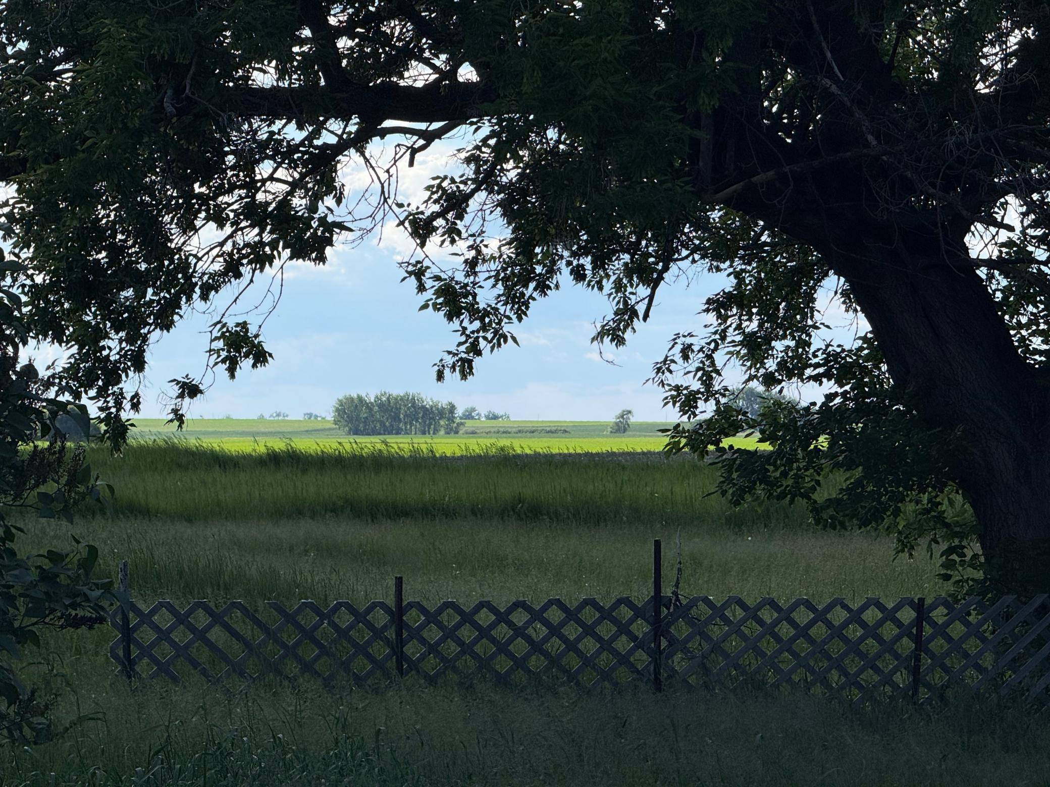 305 Roberts ST, Webster, ND 58382
