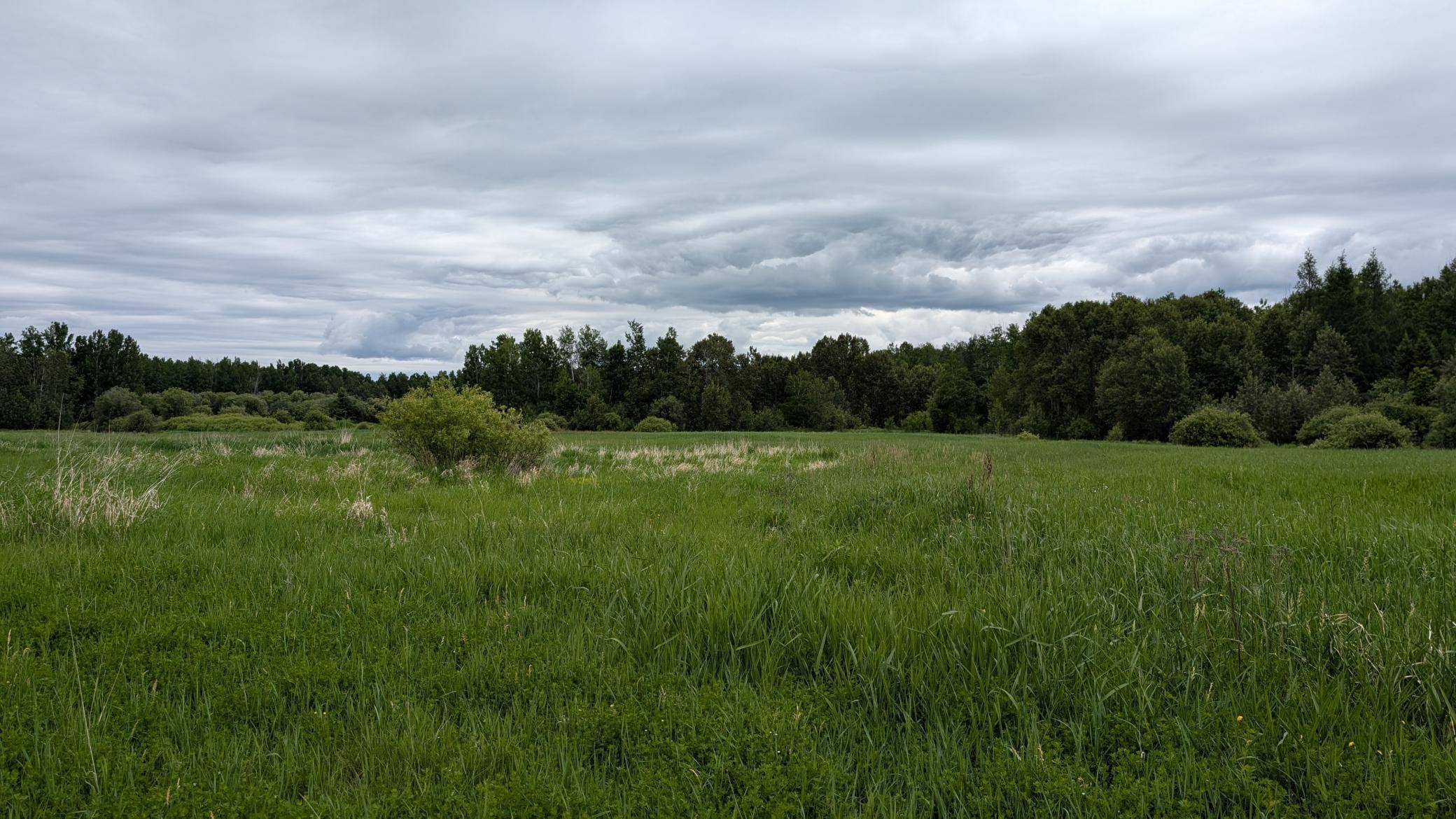 10211 Leander RD, Angora, MN 55703