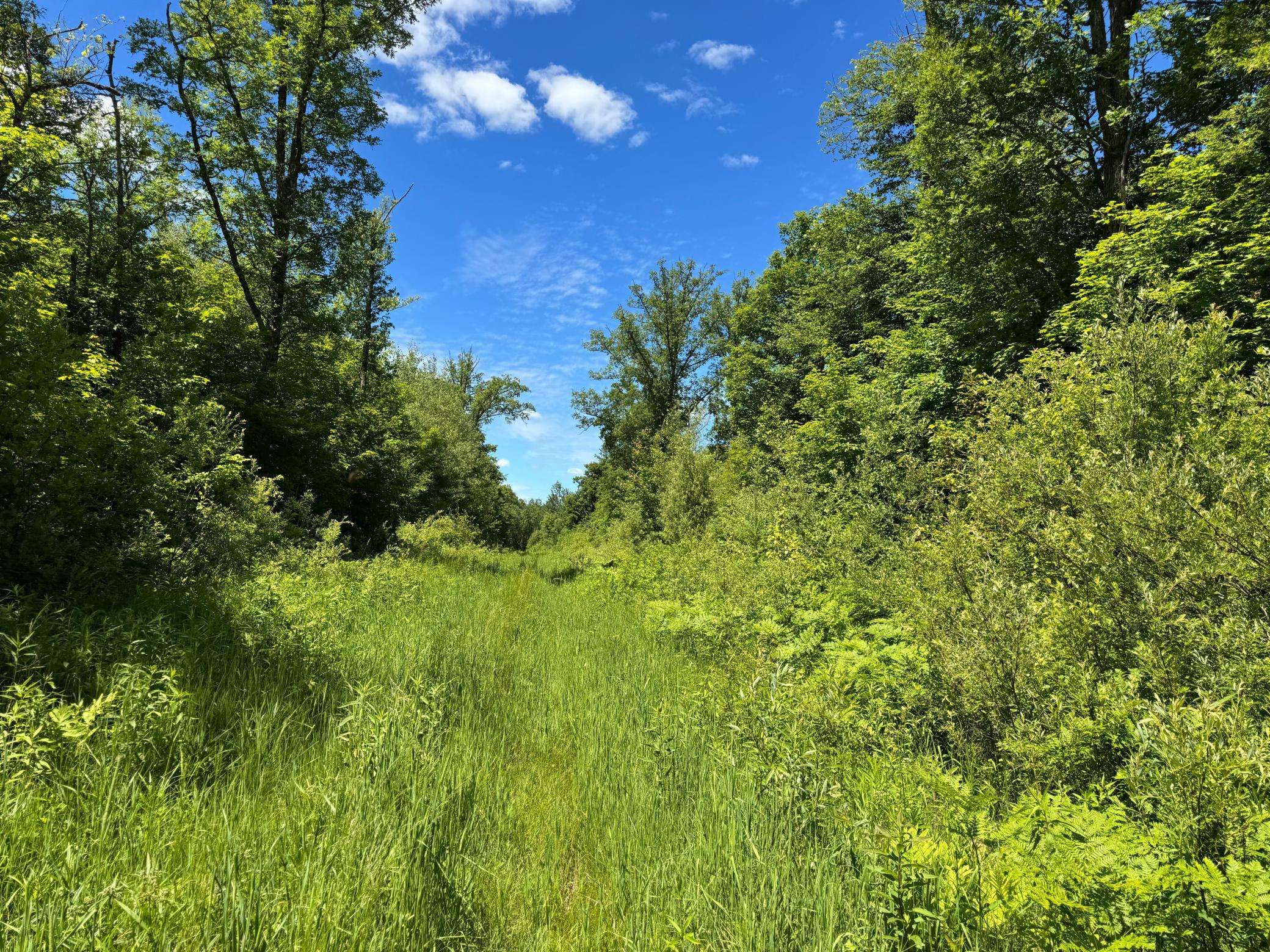 TBD 300th Lane, Mcgregor, MN 55760