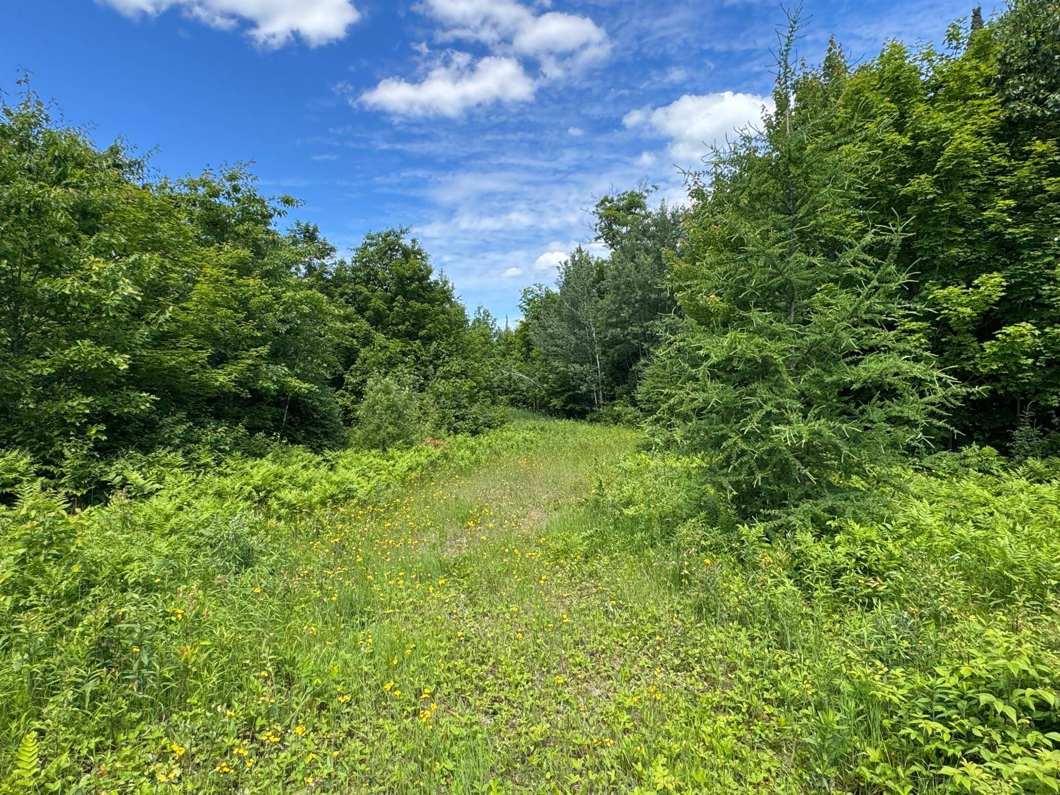 TBD 300th Lane, Mcgregor, MN 55760
