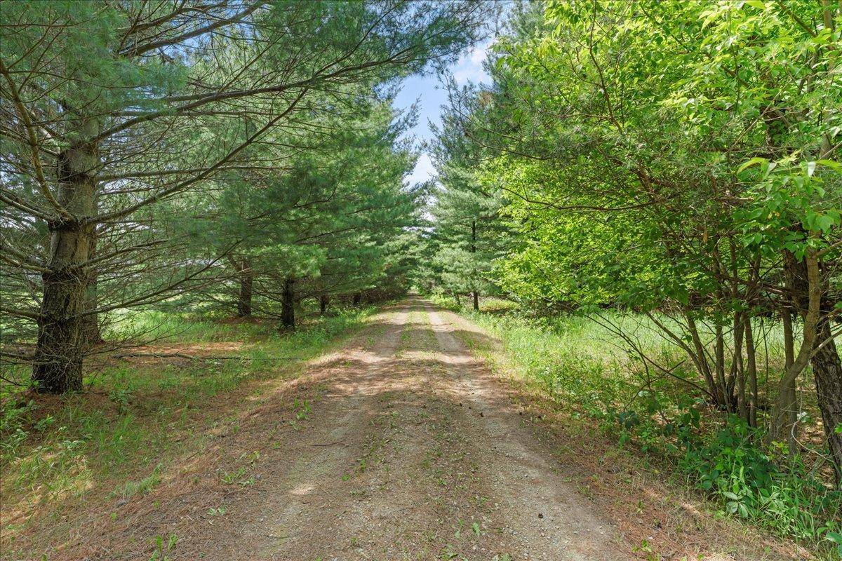 1041 River DR, River Falls, WI 54022