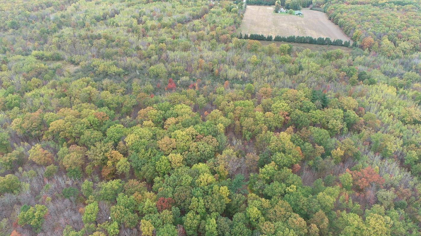 0 20th AVE, Cadott, WI 54727