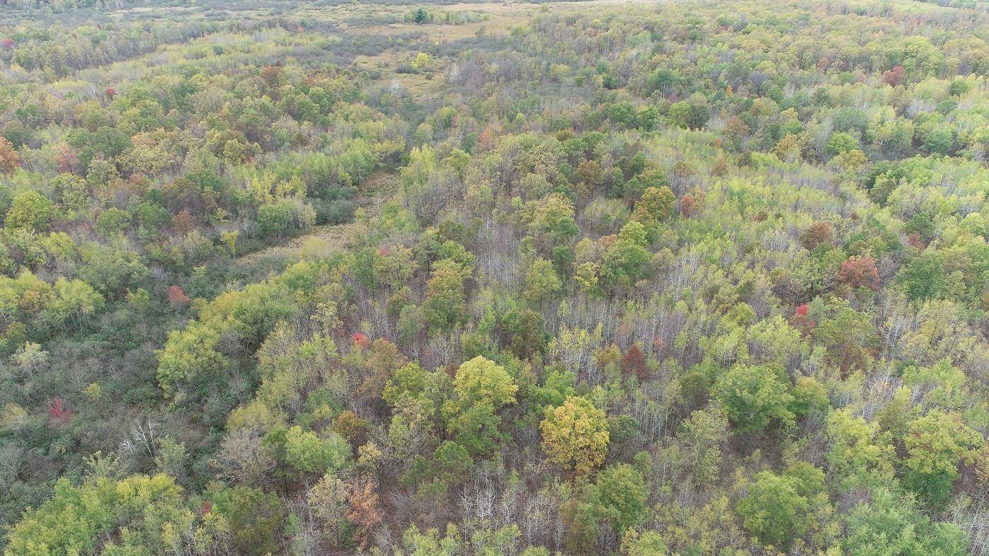 0 20th AVE, Cadott, WI 54727
