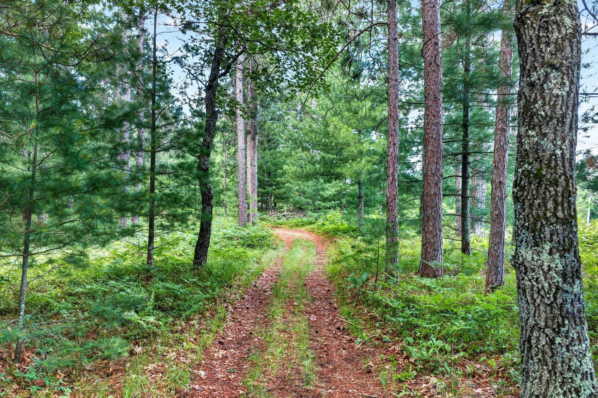 3307 State Road 77, Danbury, WI 54830