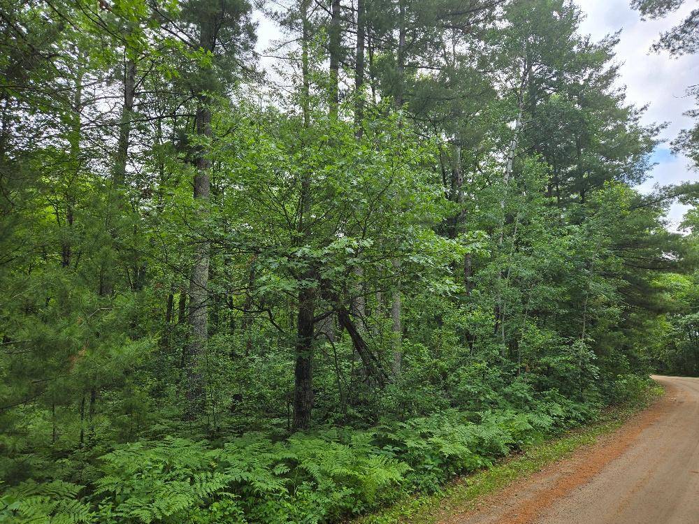 TBD Isle Harbor DR, Federal Dam, MN 56641