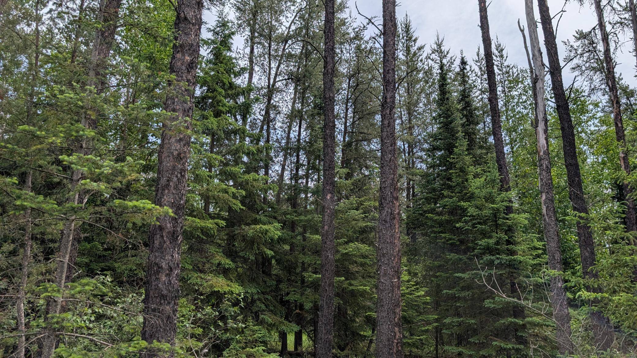 TBD Vermilion Trail, Aurora, MN 55705