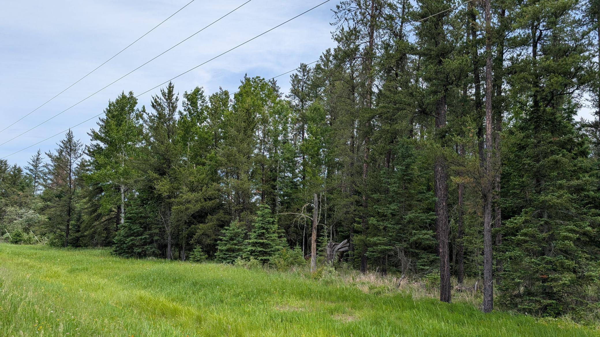 TBD Vermilion Trail, Aurora, MN 55705