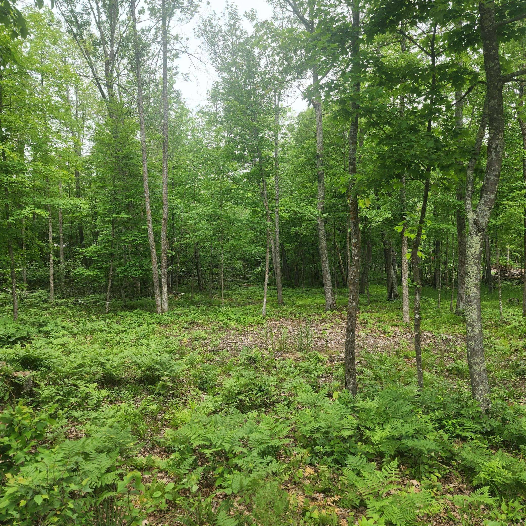 TBD 186TH AVE, Mcgregor, MN 55760