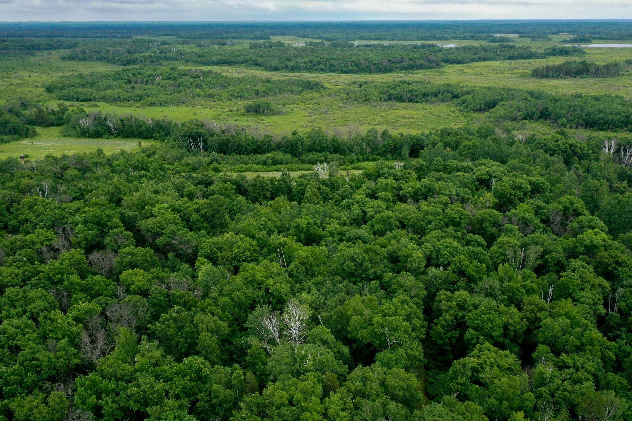 25820 County Road 26, Sebeka, MN 56477