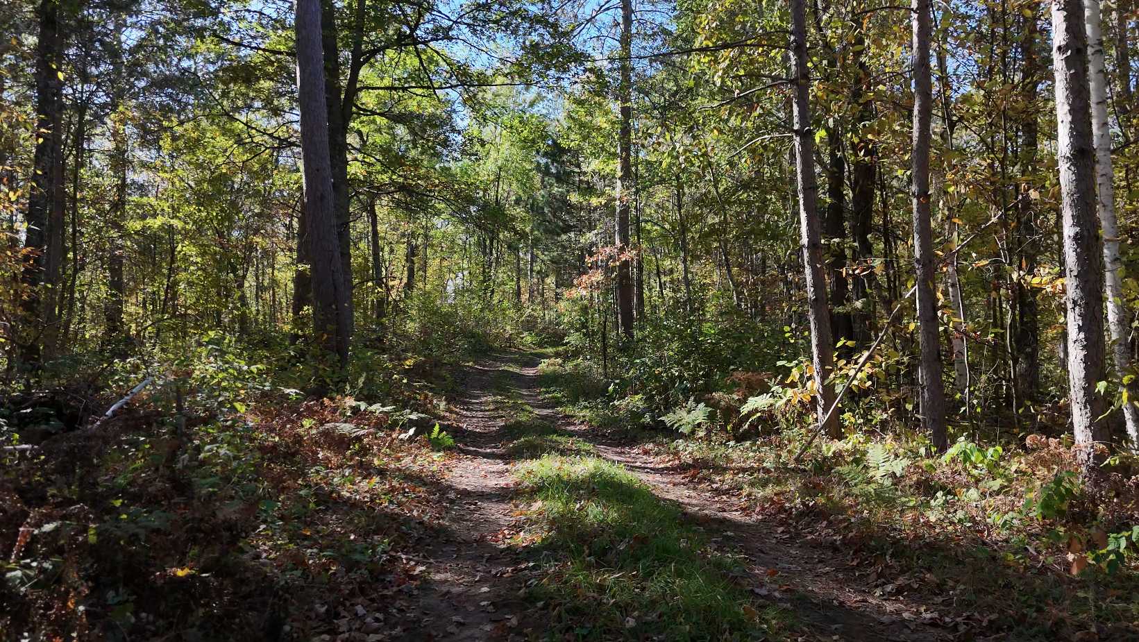N5813 Mann Road, Spooner, WI 54801