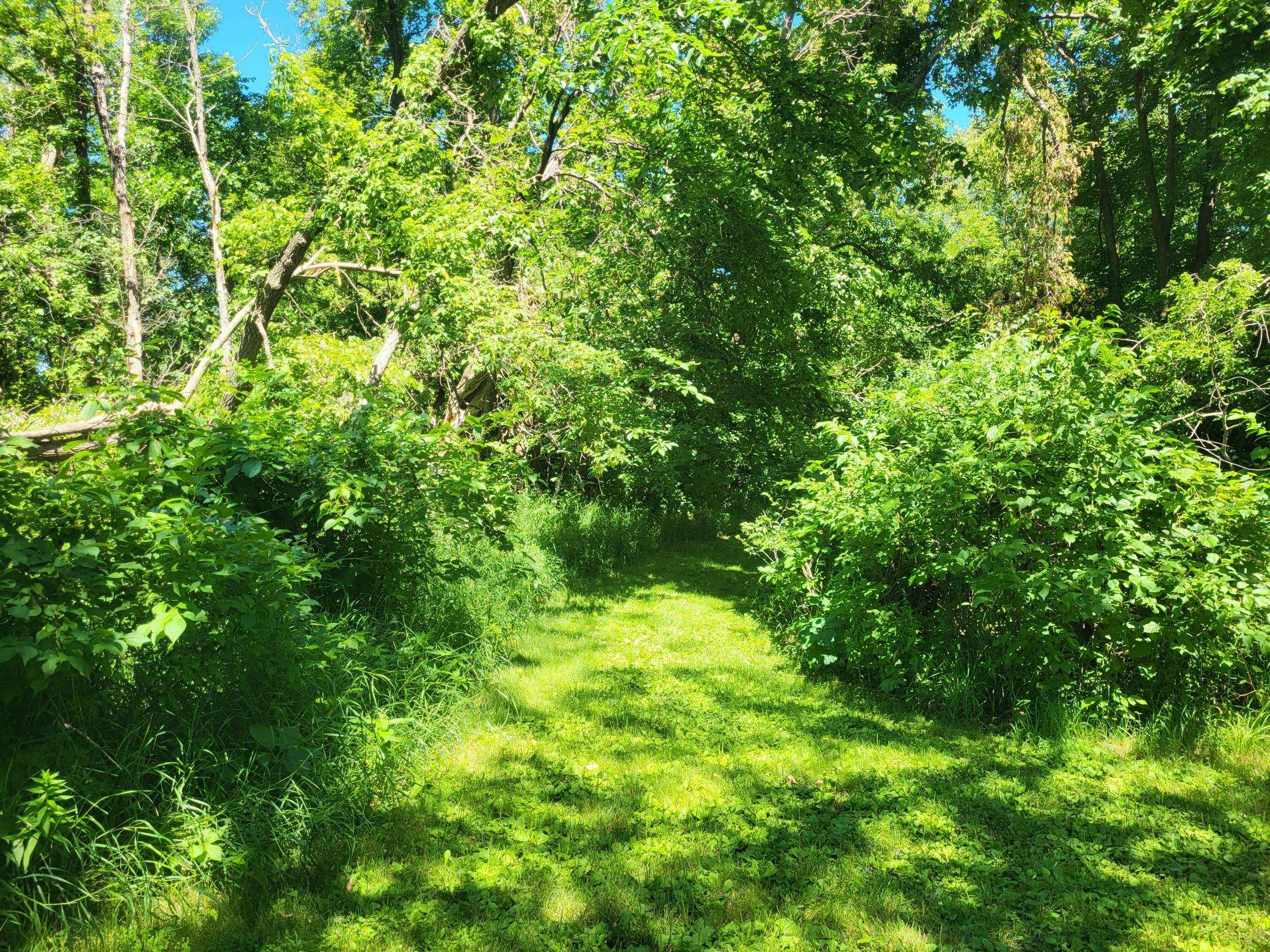Lot 5 Big Chip TRL NW, Garfield, MN 56332