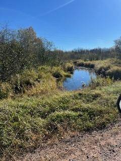 0000 Wick RD, Saginaw, MN 55779