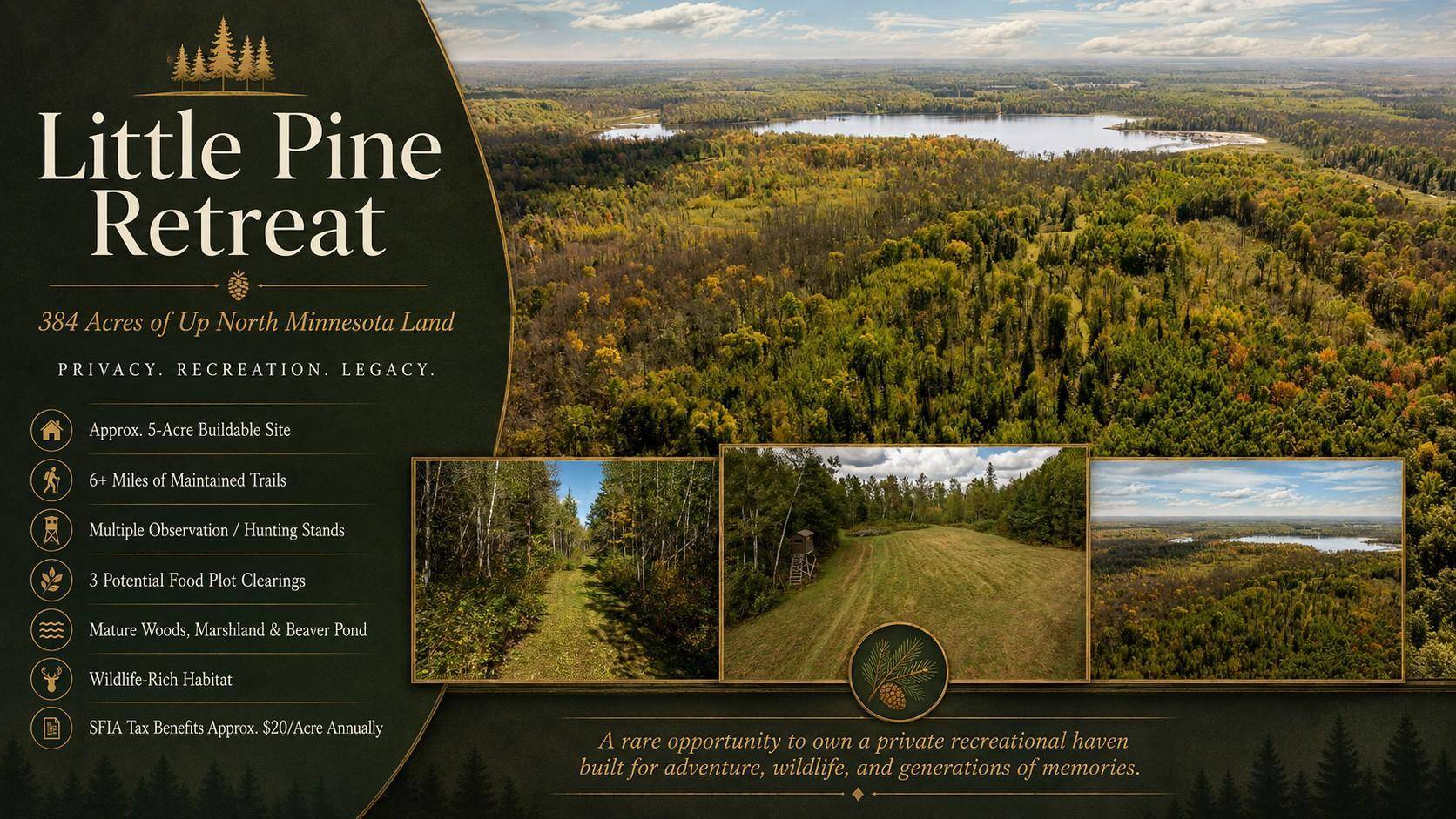 384 Acres TBD Little Pine RD, Emily, MN 56447