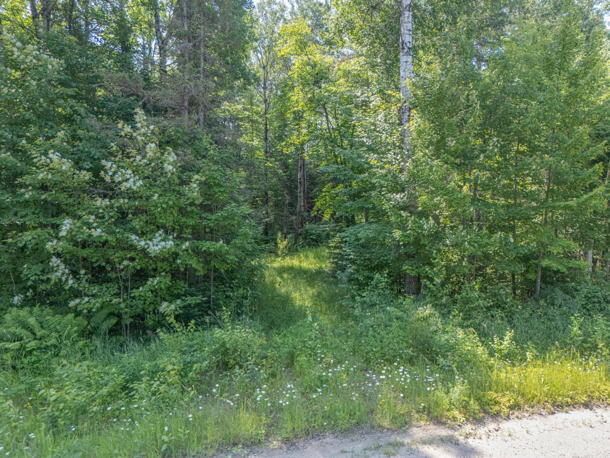 TBD County Road 308, Mountain Iron, MN 55768