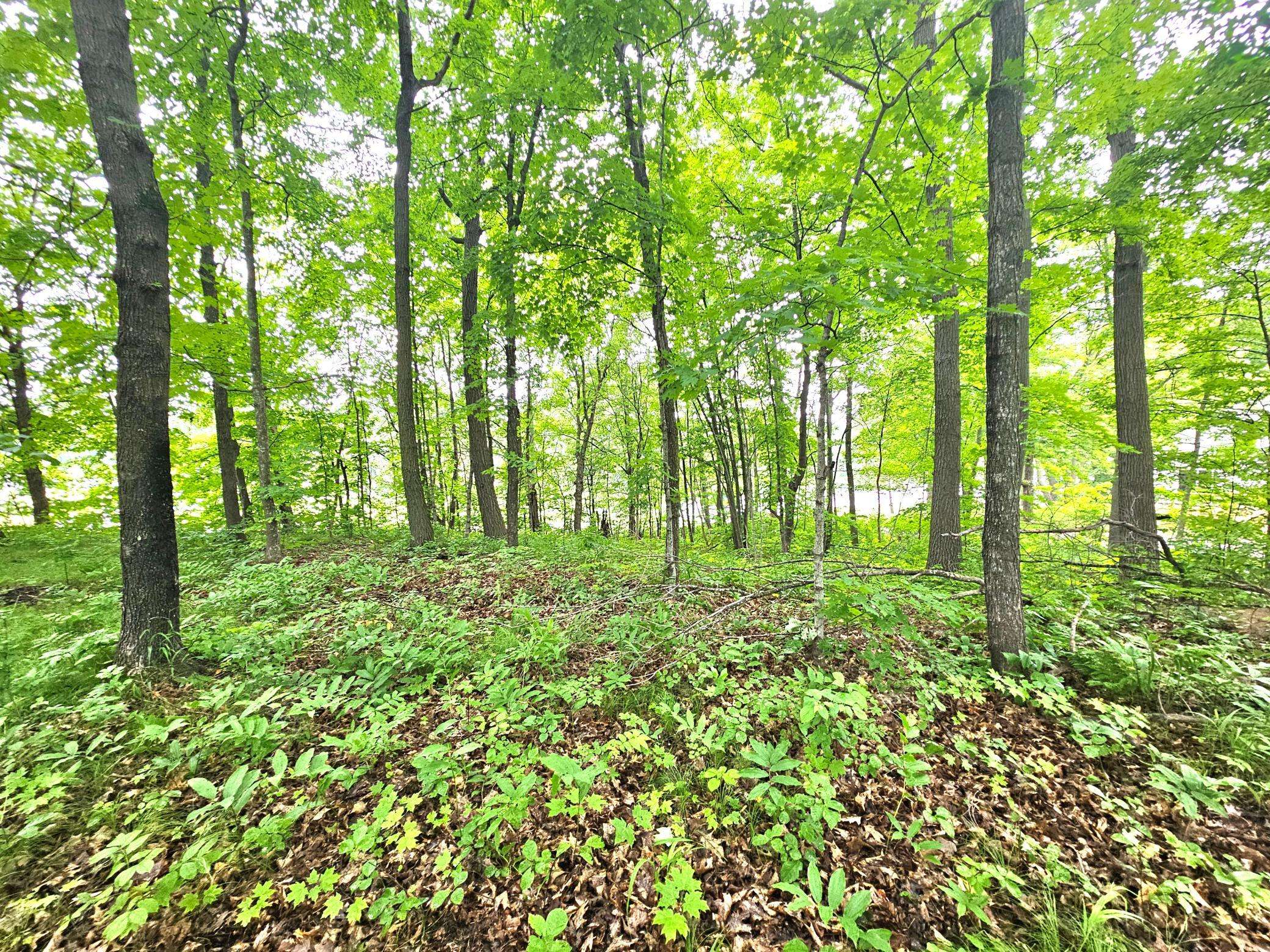 TBD East Grace Street, Isle, MN 56342