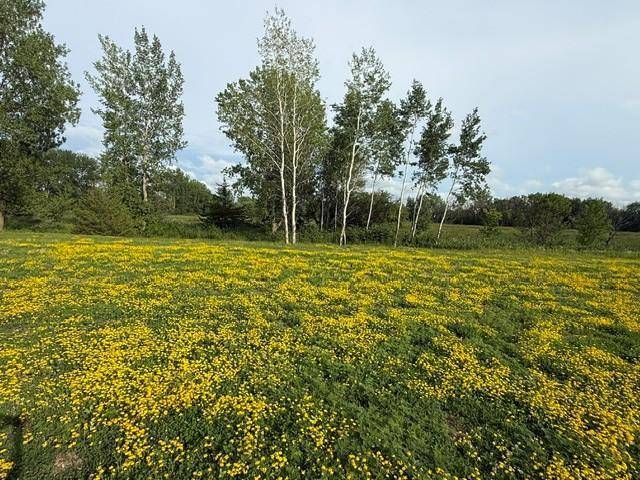 26361 Preserve DR, Elko New Market, MN 55054