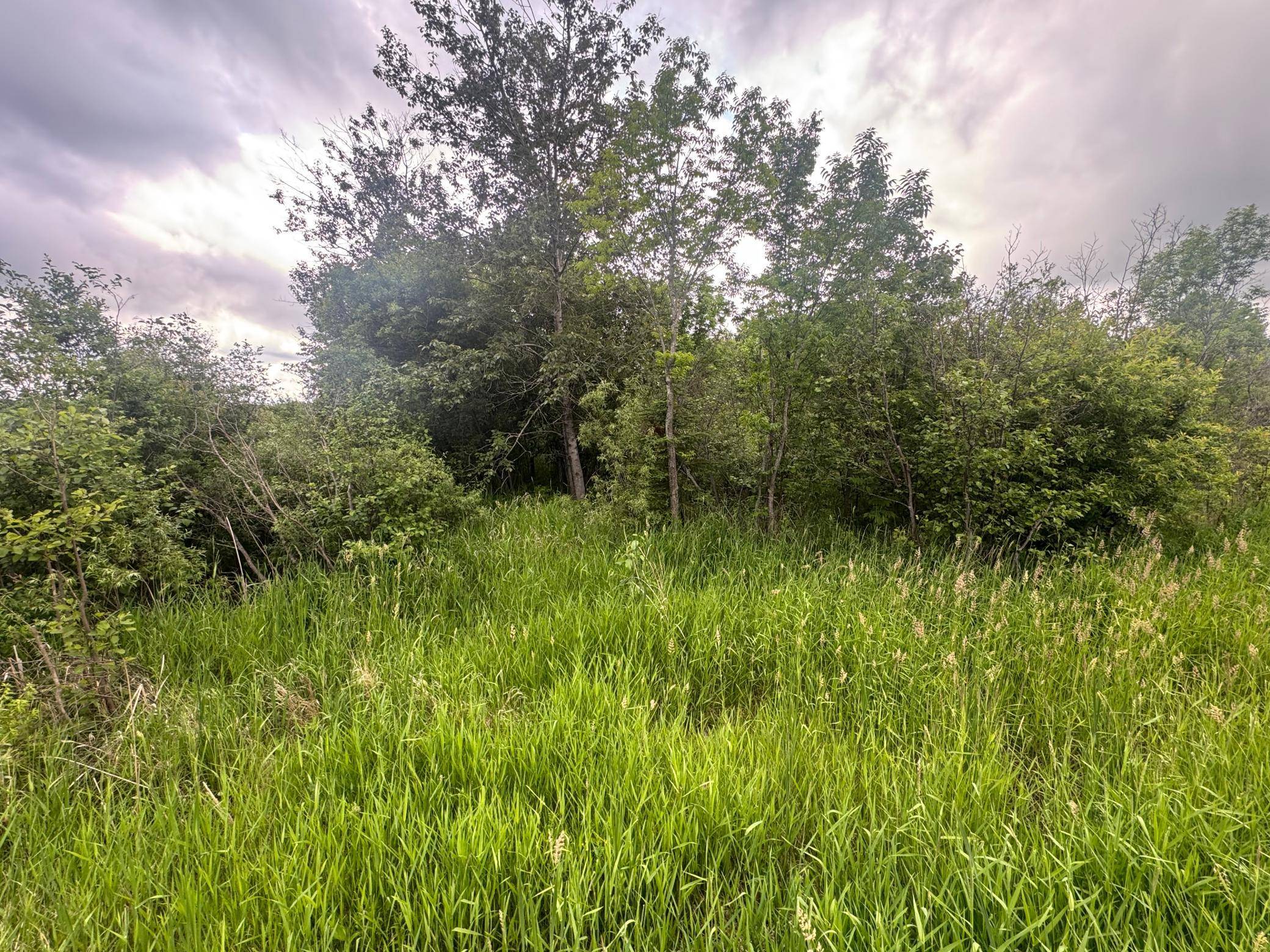8xxx Townline RD, Forbes, MN 55738