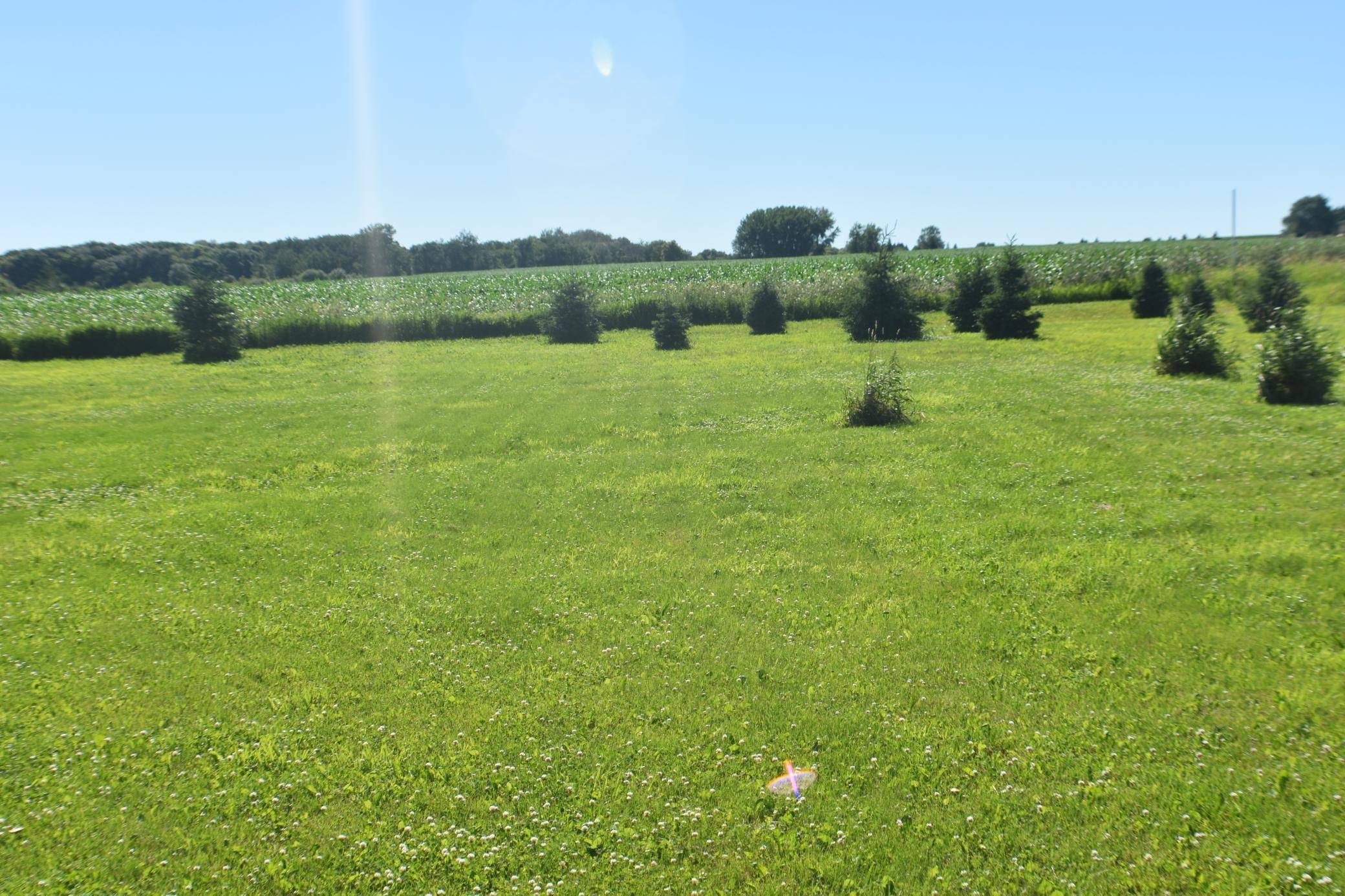 1342 Calvary RD SE, Osakis, MN 56360