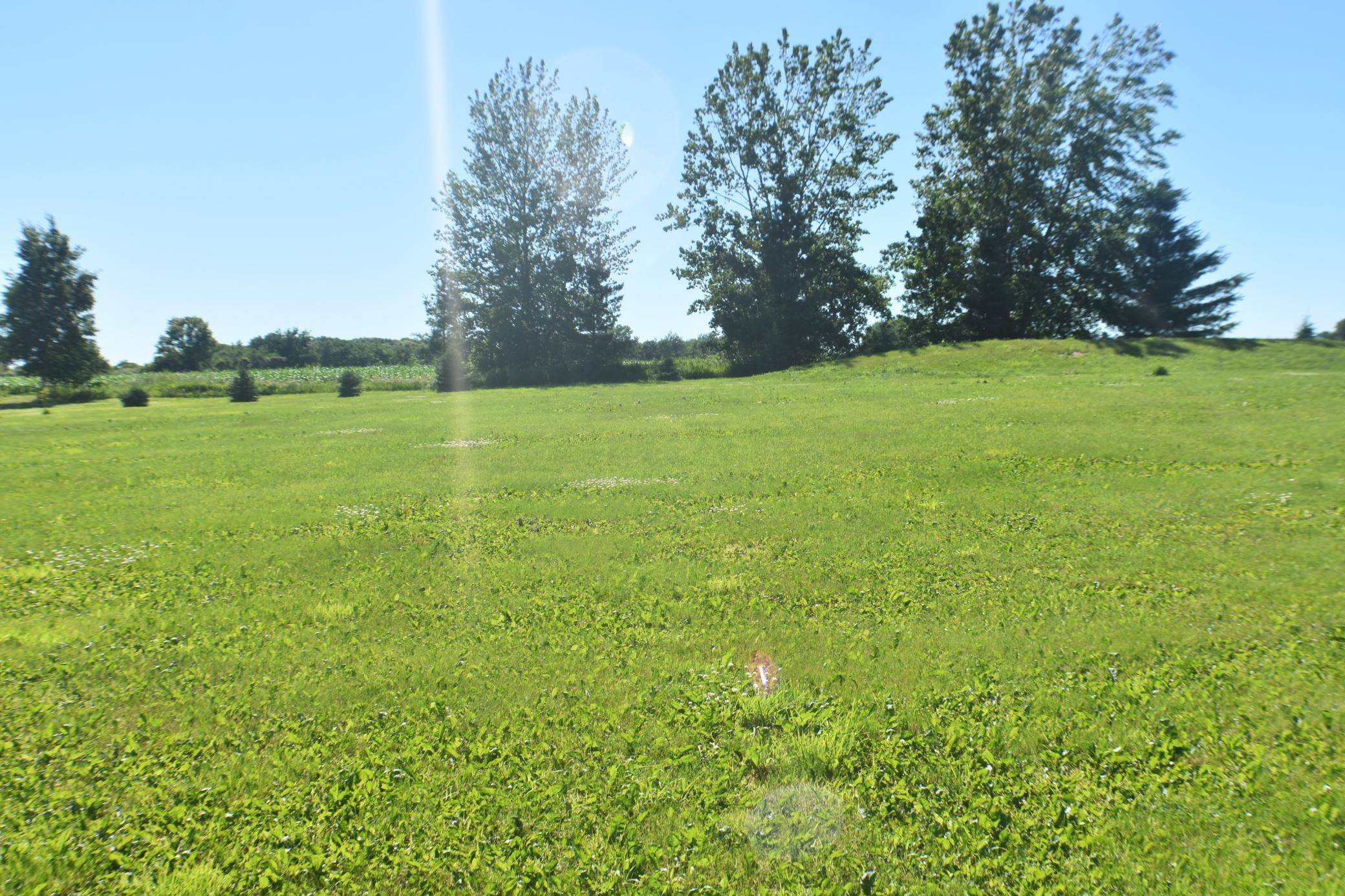 1342 Calvary RD SE, Osakis, MN 56360