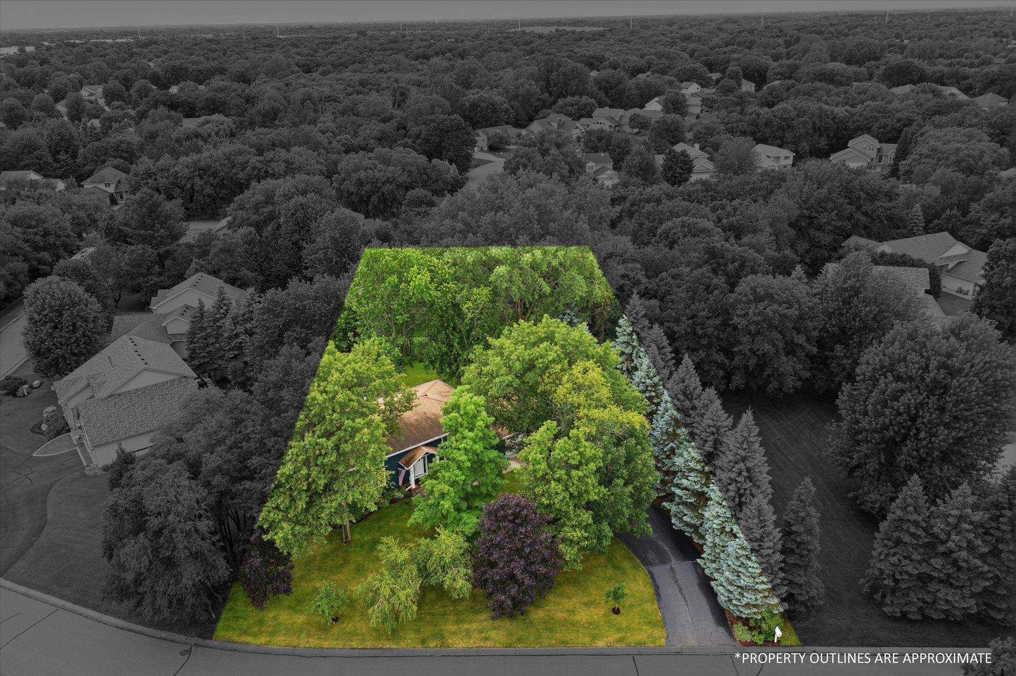 13974 Olive ST NW, Andover, MN 55304