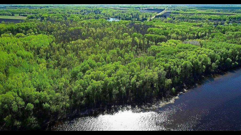 Lot 11 - TBD Driftwood LN NW, Baudette, MN 56623