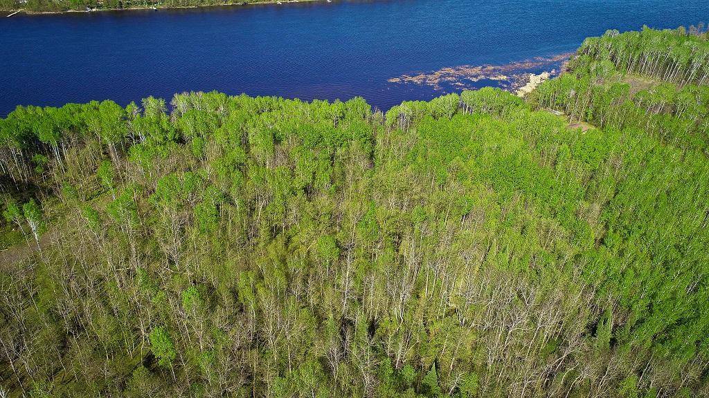 Lot 11 - TBD Driftwood LN NW, Baudette, MN 56623