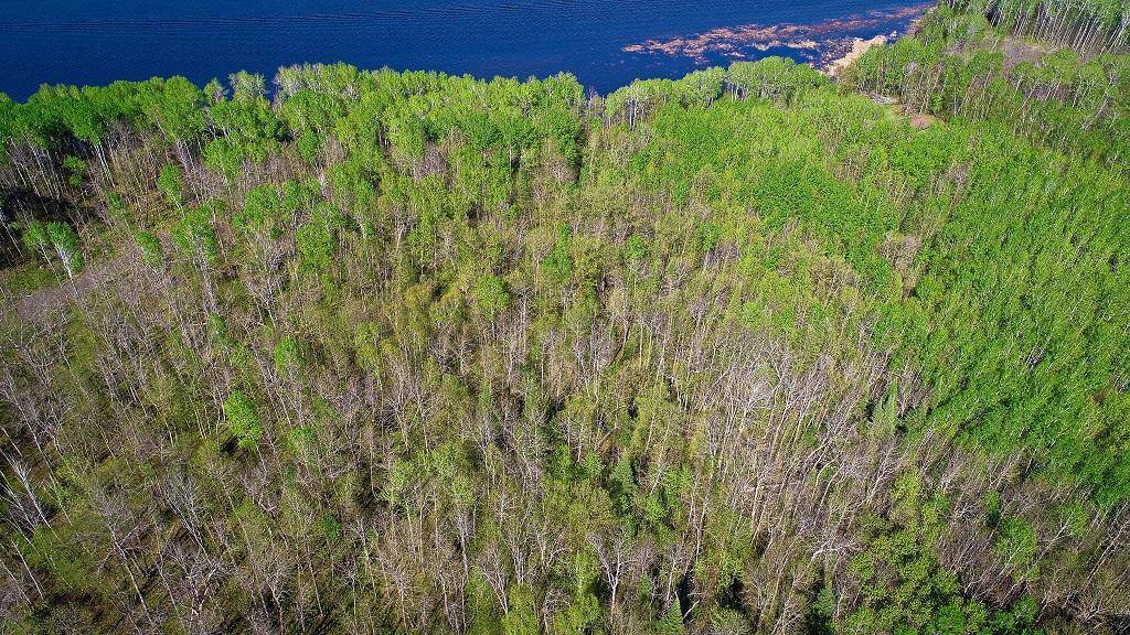 Lot 12 - TBD Driftwood LN NW, Baudette, MN 56623