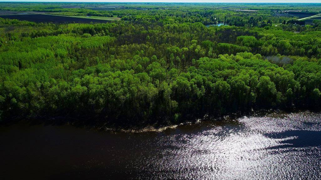 Lot 12 - TBD Driftwood LN NW, Baudette, MN 56623