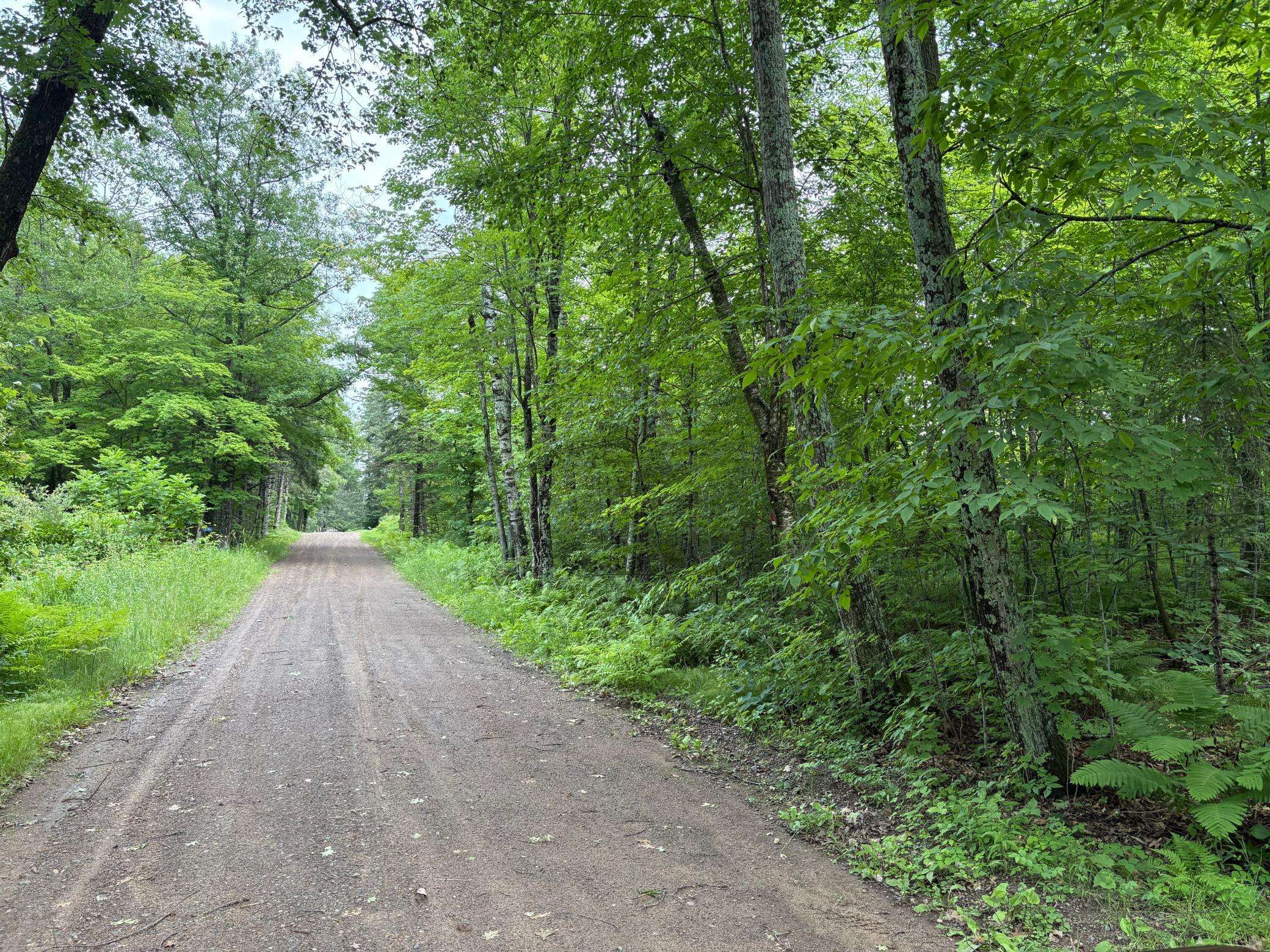 TBD 254th LN, Hazelton Twp, MN 56431