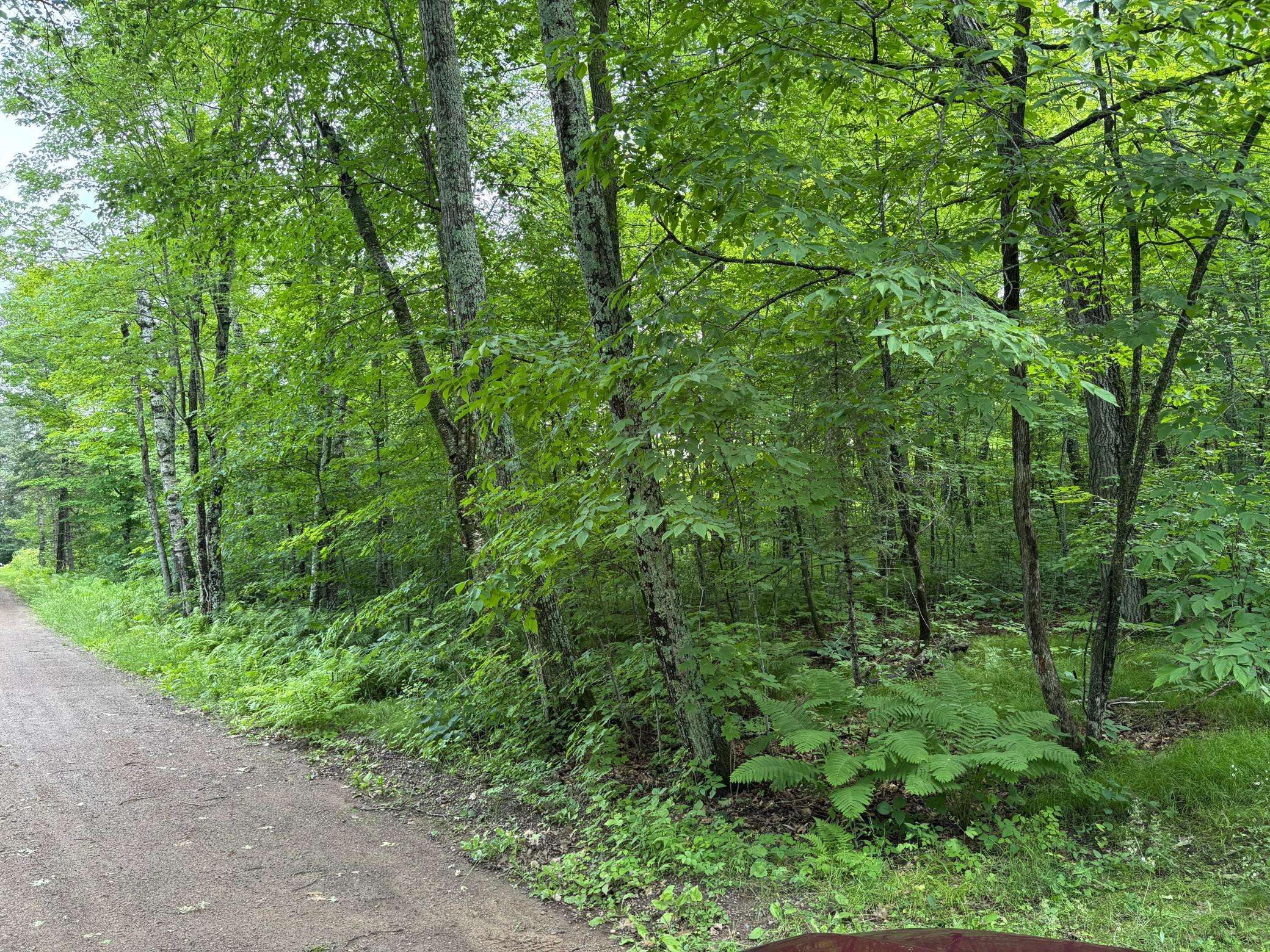 TBD 254th LN, Hazelton Twp, MN 56431