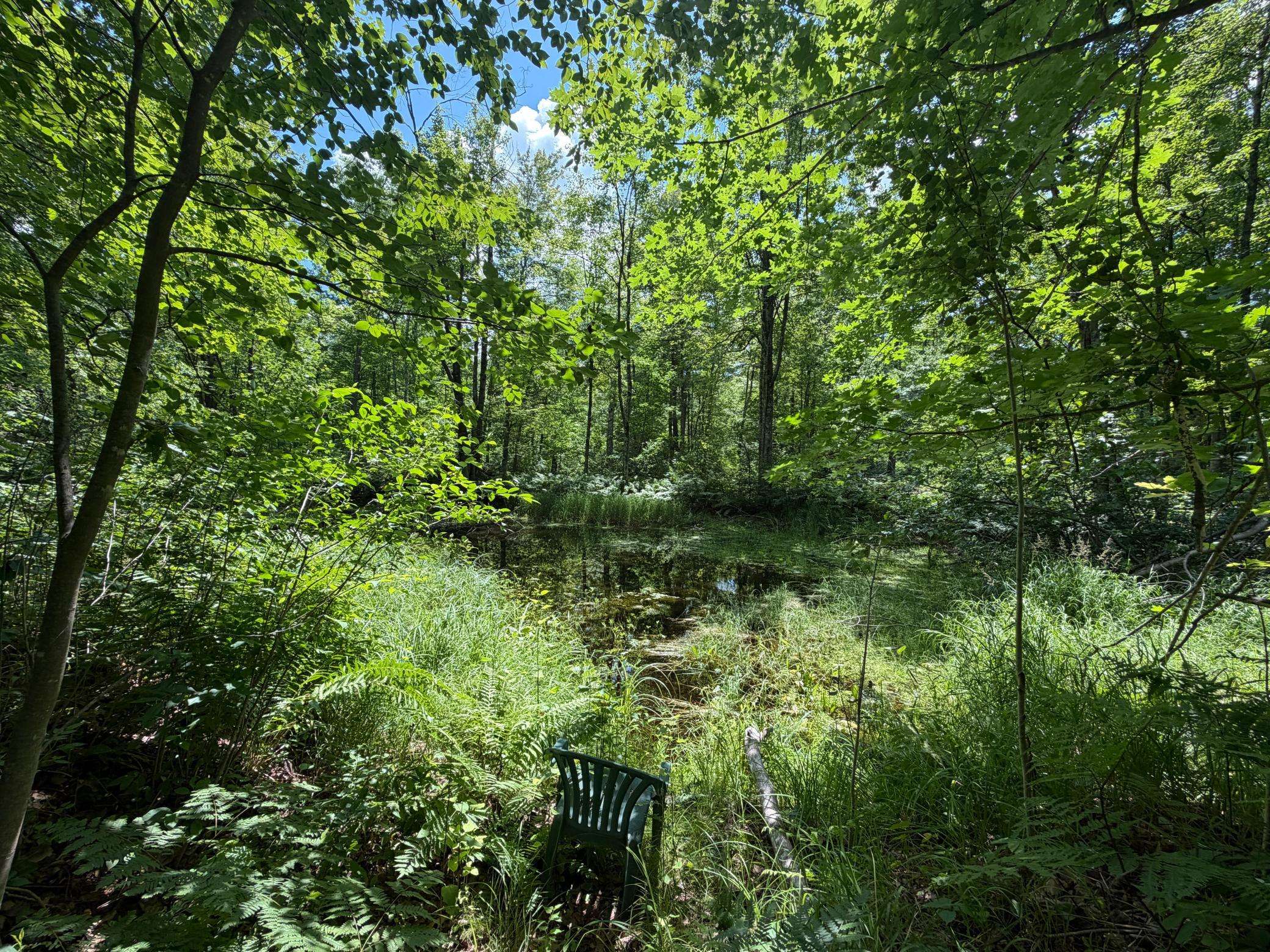 42680 Leigh DR, Bruno, MN 55712