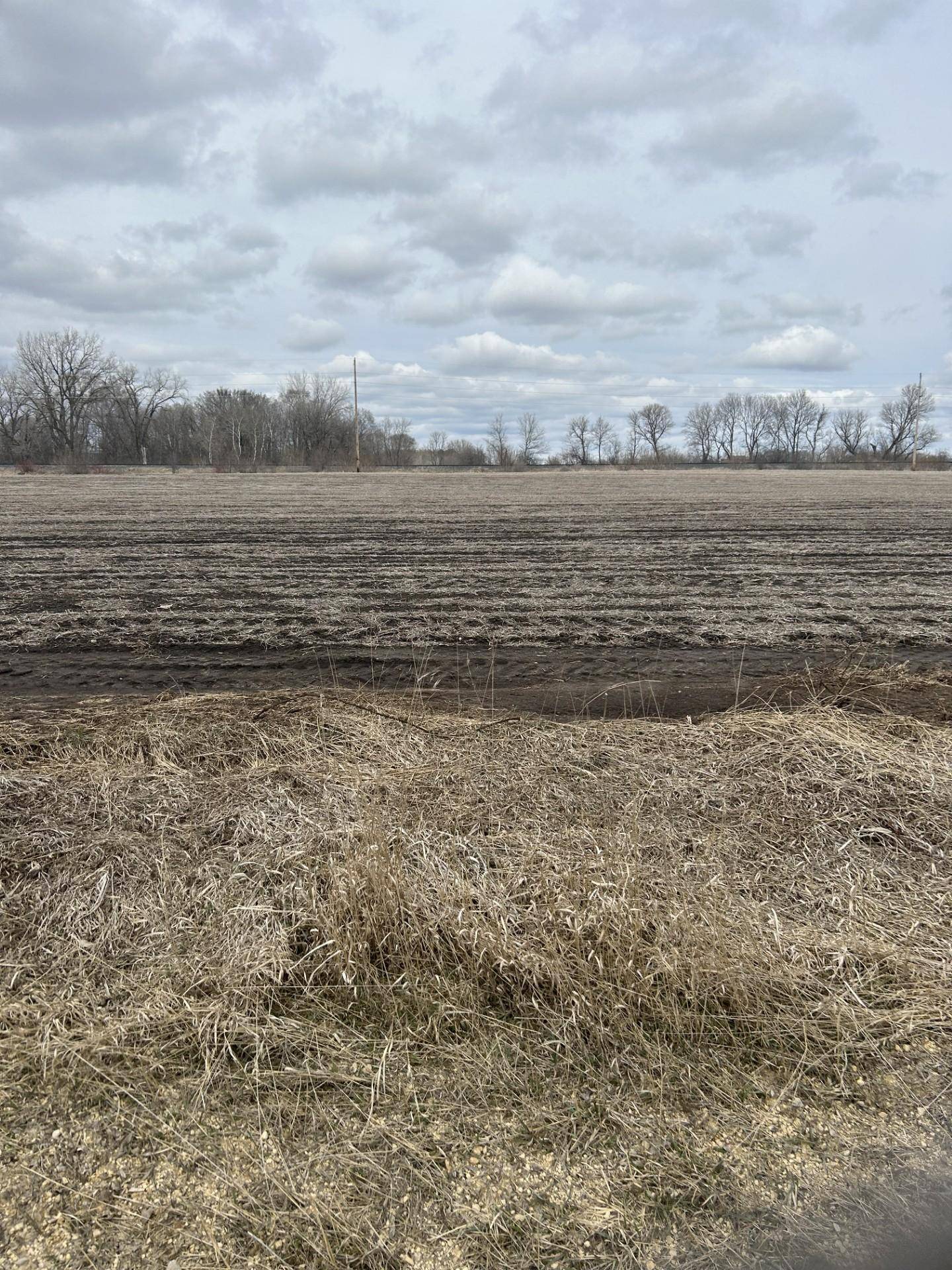 Lot 2 Block 1 Cannon River Blvd, Randolph, MN 55065