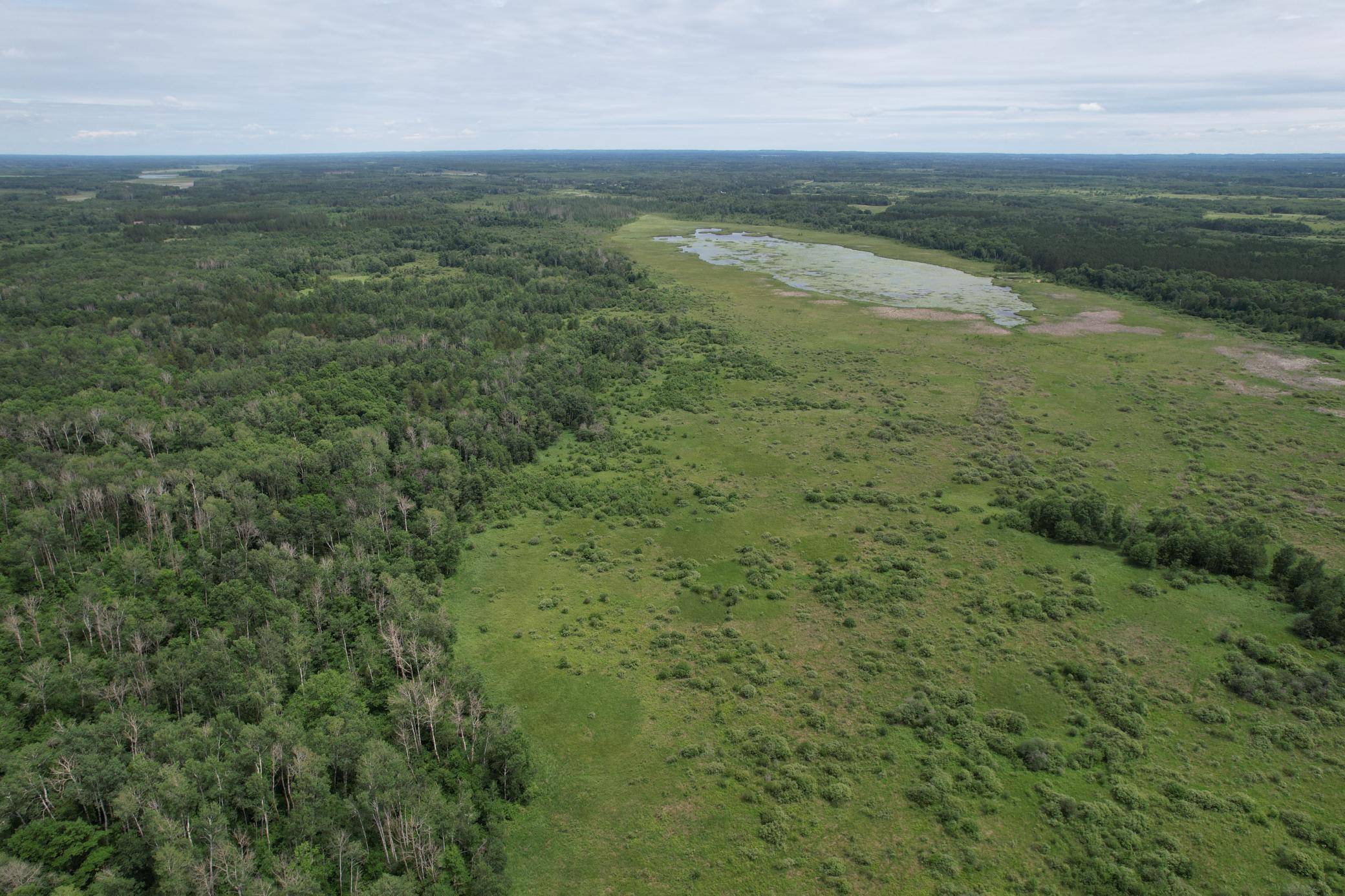 TBDx 350th ST, Menahga, MN 56464
