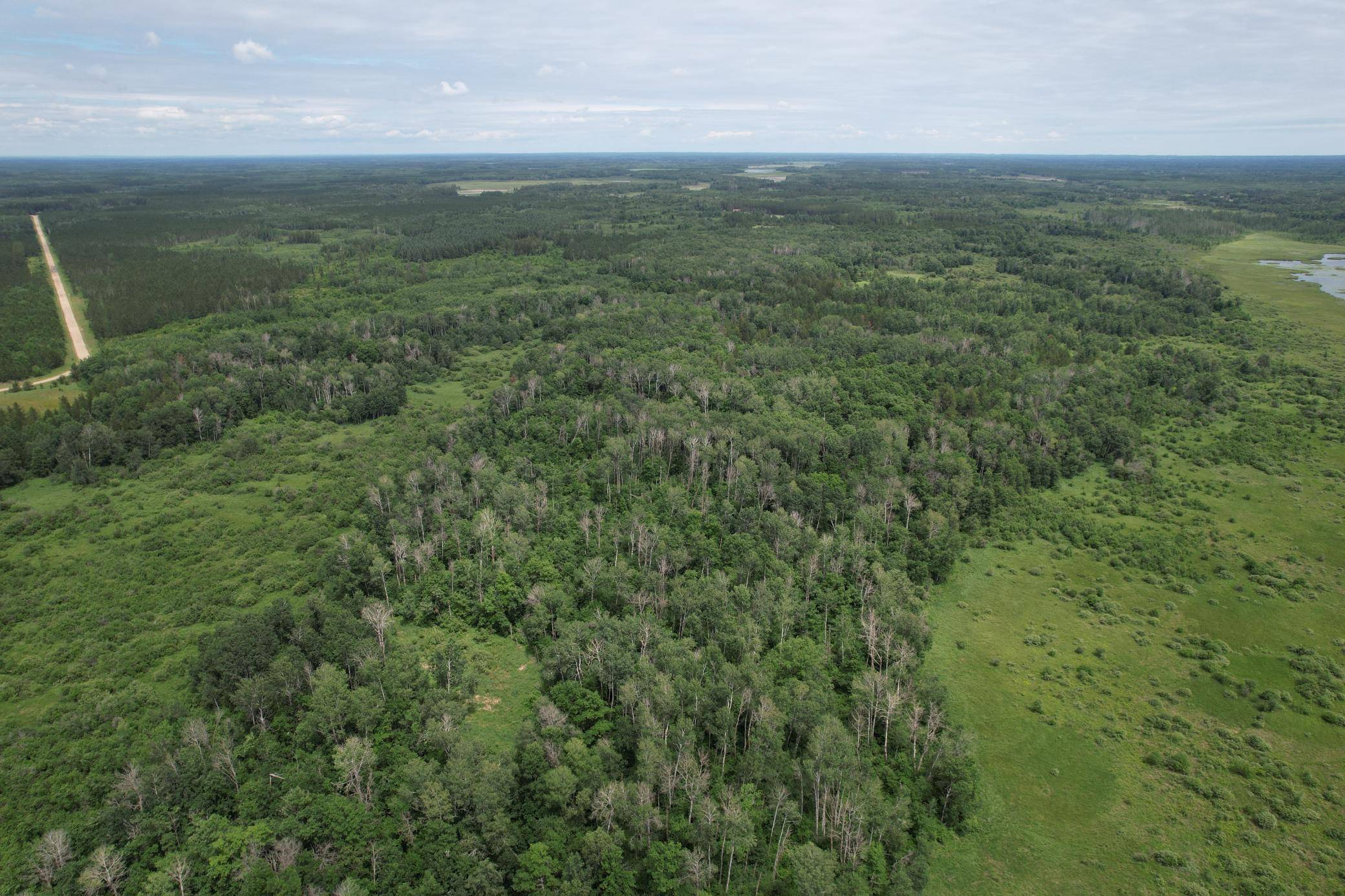 TBDx 350th ST, Menahga, MN 56464
