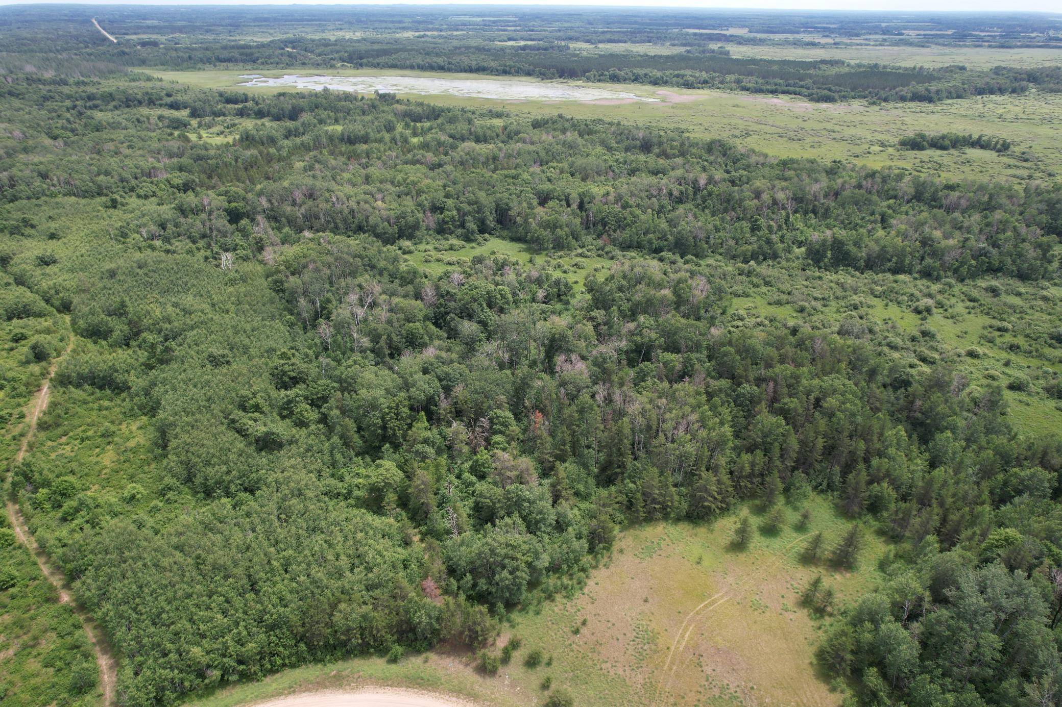 TBDx 350th ST, Menahga, MN 56464