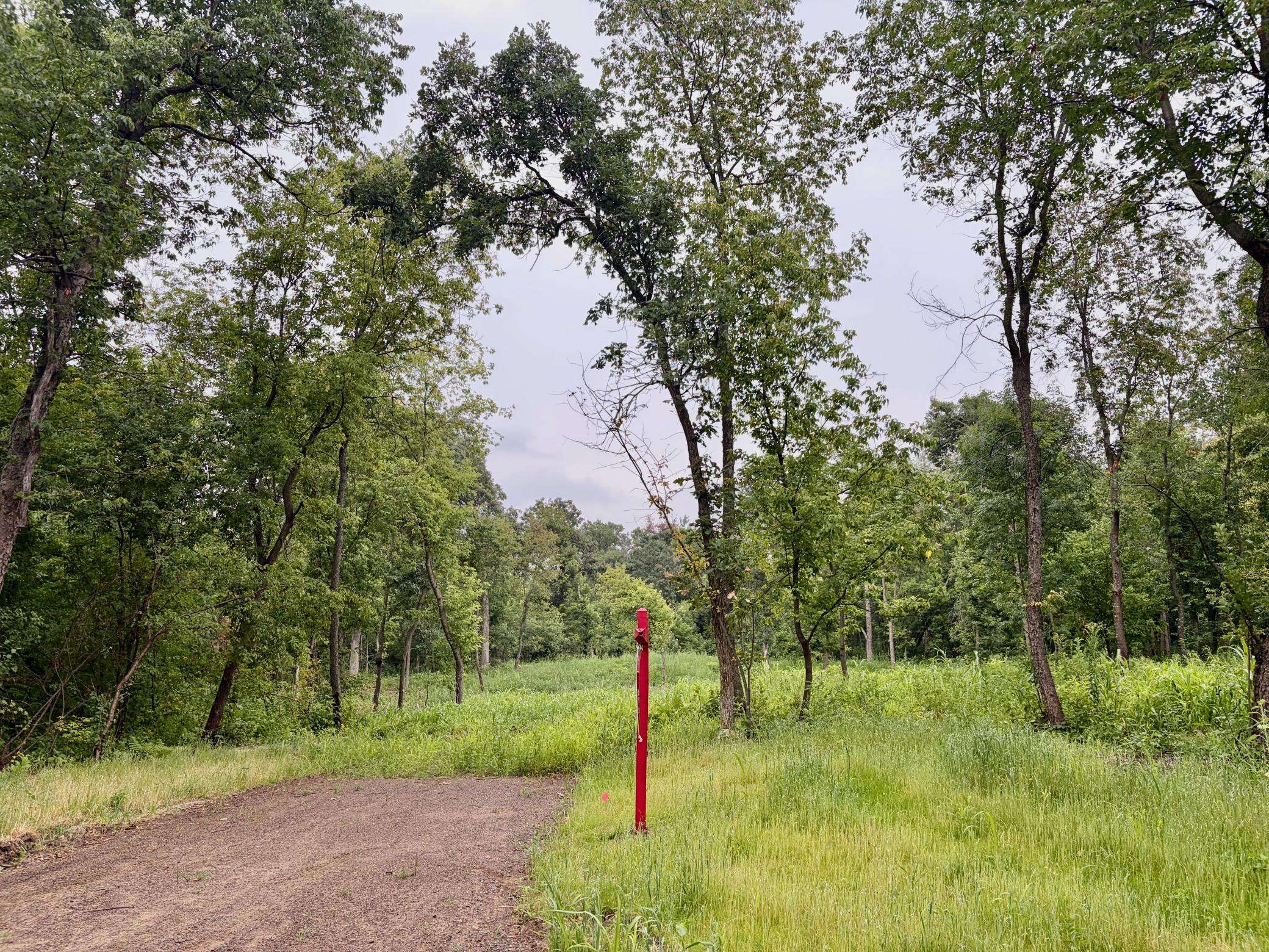 TBD (L7B2) Flamingo ST NW, Isanti, MN 55040