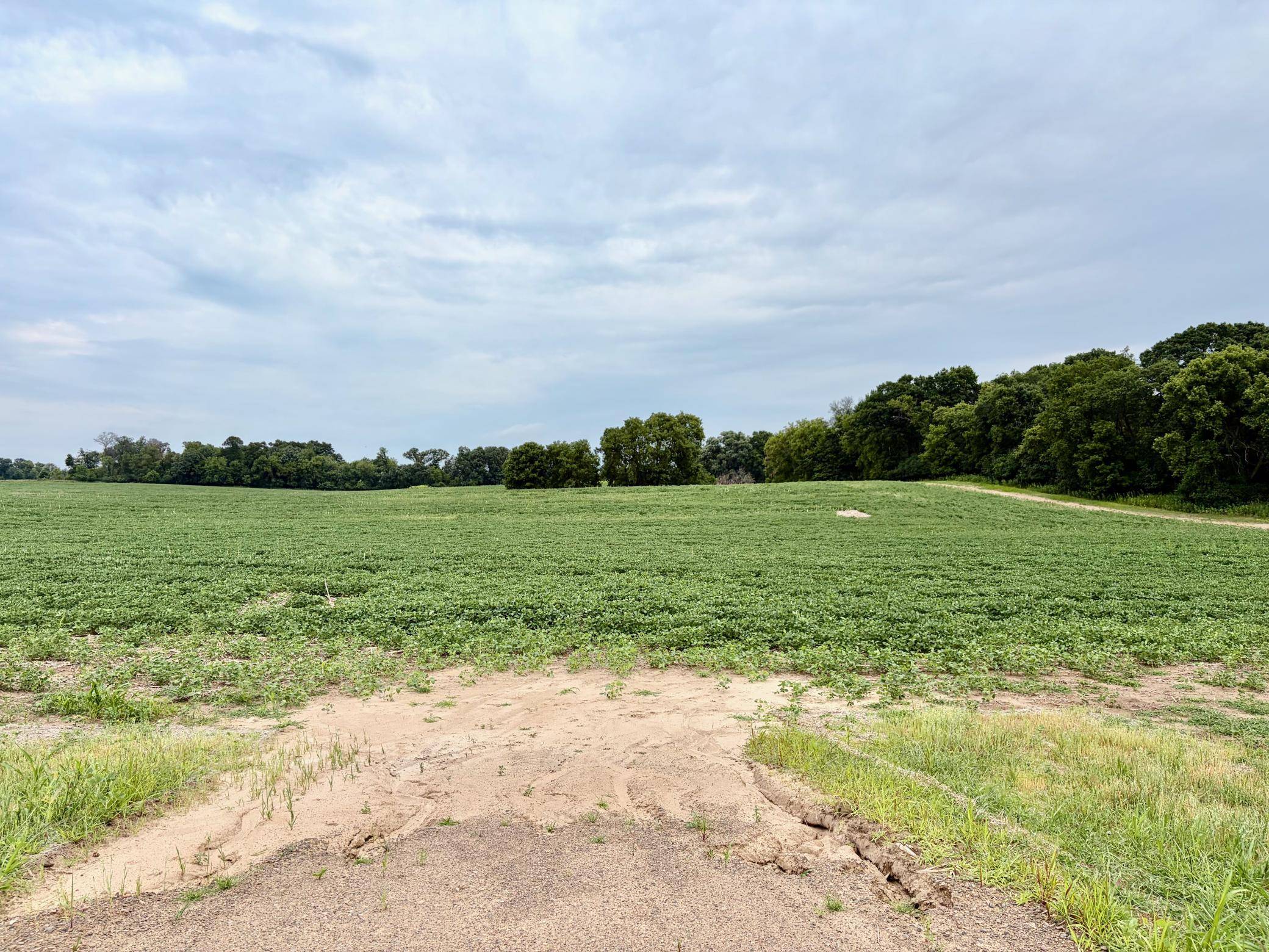 TBD (L9B2) County Road 5 NW, Isanti, MN 55040