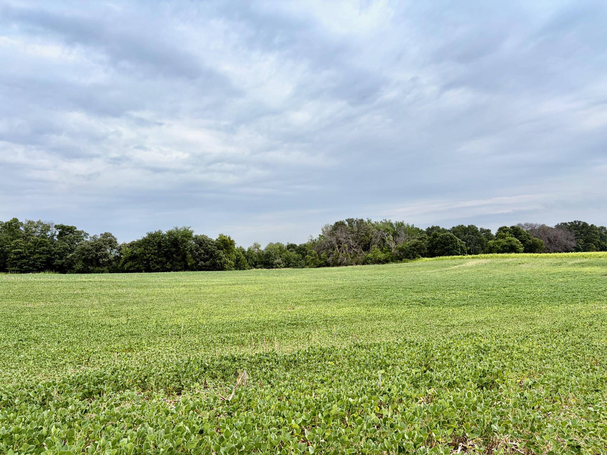 TBD (L12B2) County Road 5 NW, Isanti, MN 55040