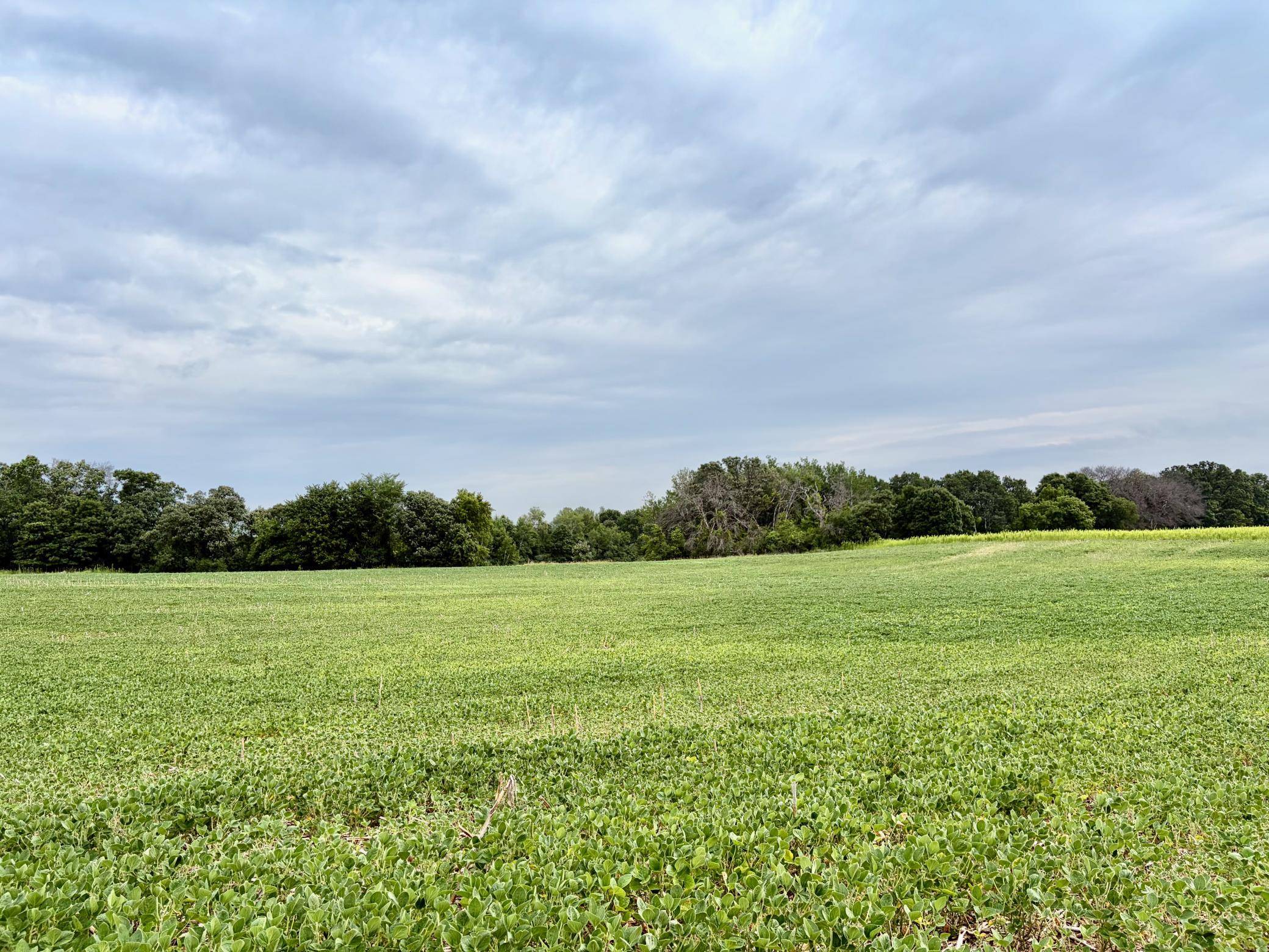 TBD (L13B2) County Road 5 NW, Isanti, MN 55040