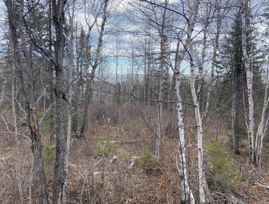000 Aspen LN, Silver Bay, MN 55614