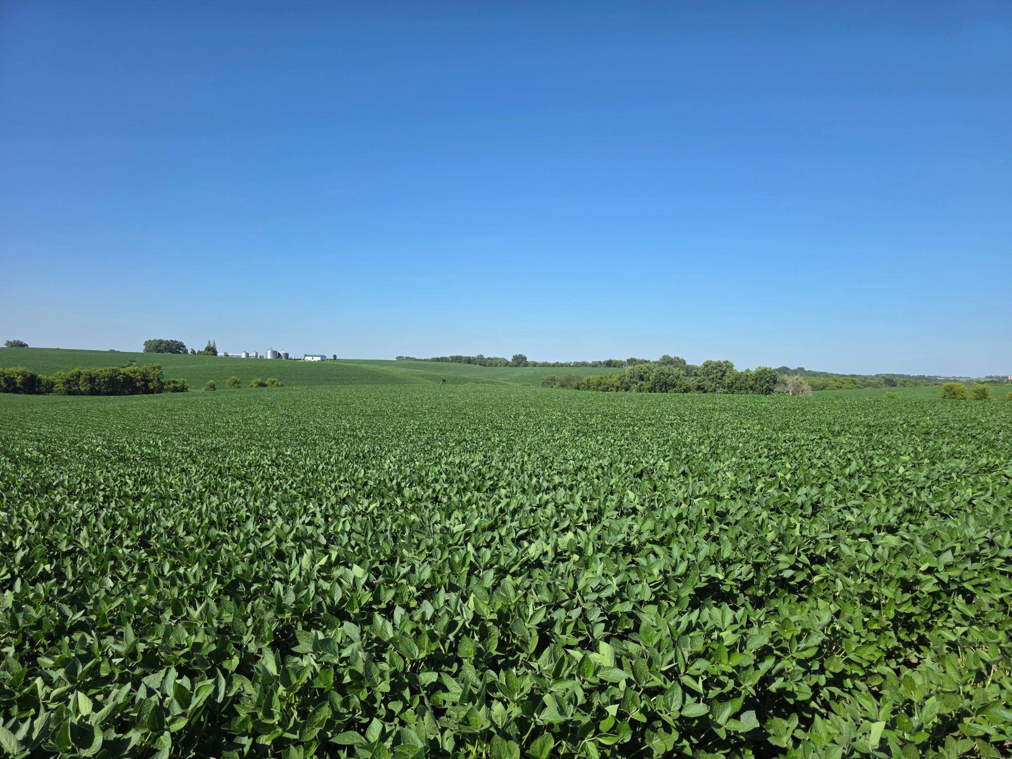 TBD 310th AVE, Elgin, MN 55932