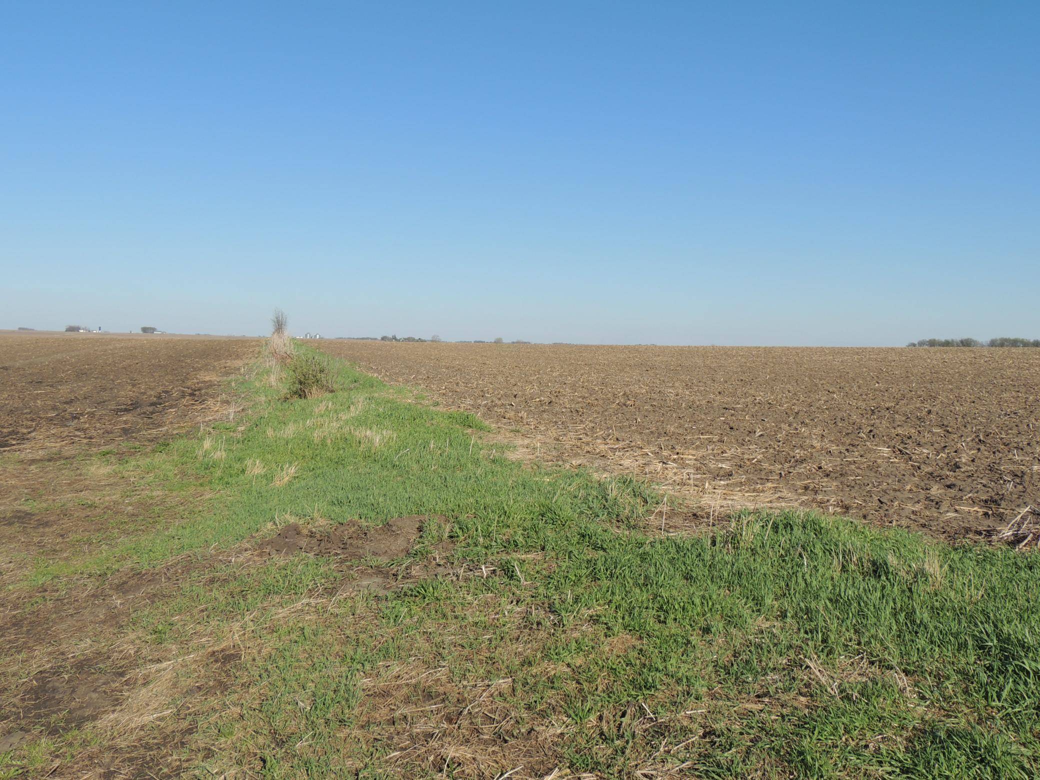 TBD 740th AVE, Grand Meadow, MN 55936