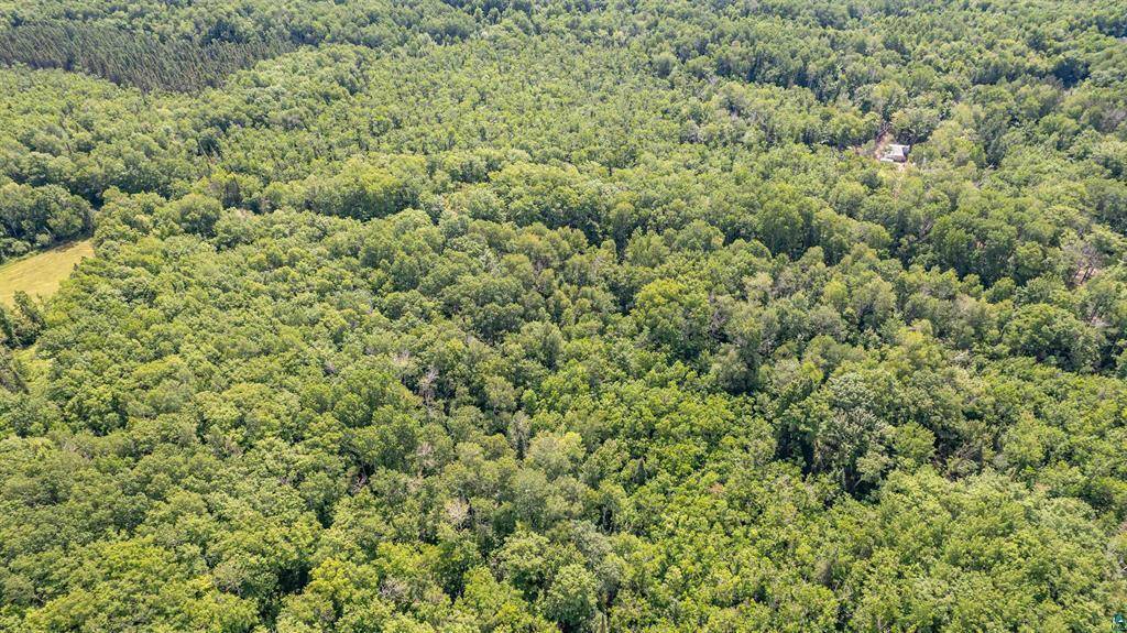 2XXX Bent Trout Lake Rd, Barnum, MN 55707